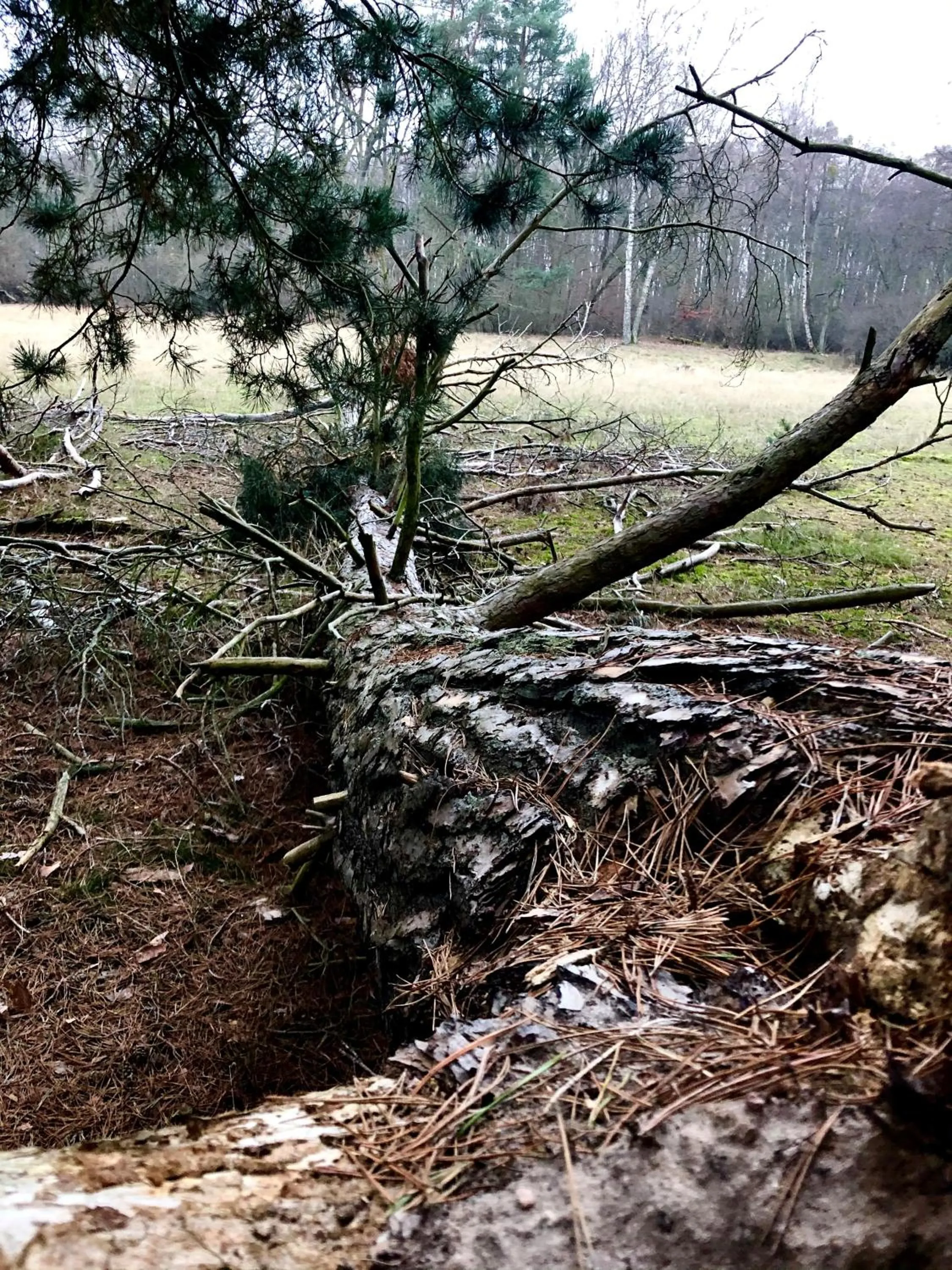 Staff in Hotel zwischen den Seen