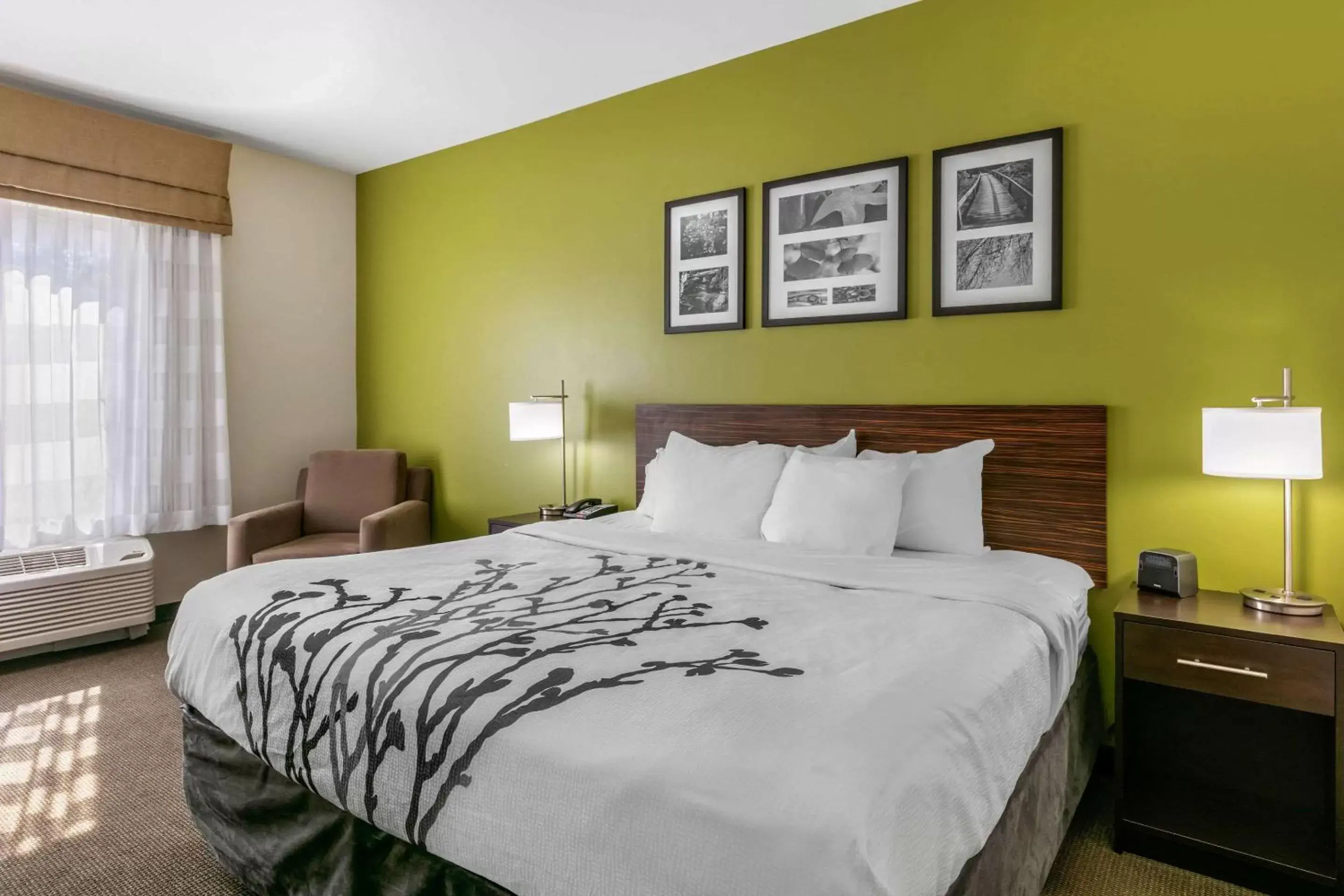 King Room in Sleep Inn & Suites Columbia I-65 King Room in Sleep Inn & Suites Columbia I-65