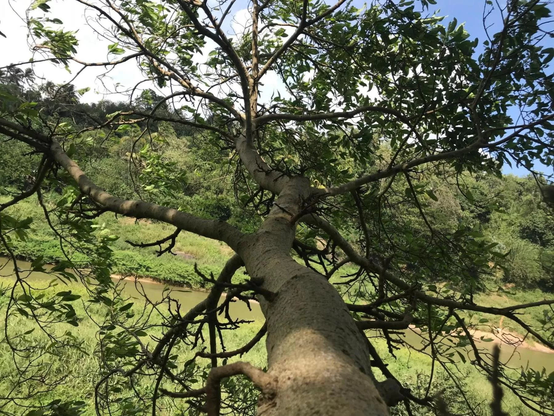 Kandy Rivers Edge Nature Resort