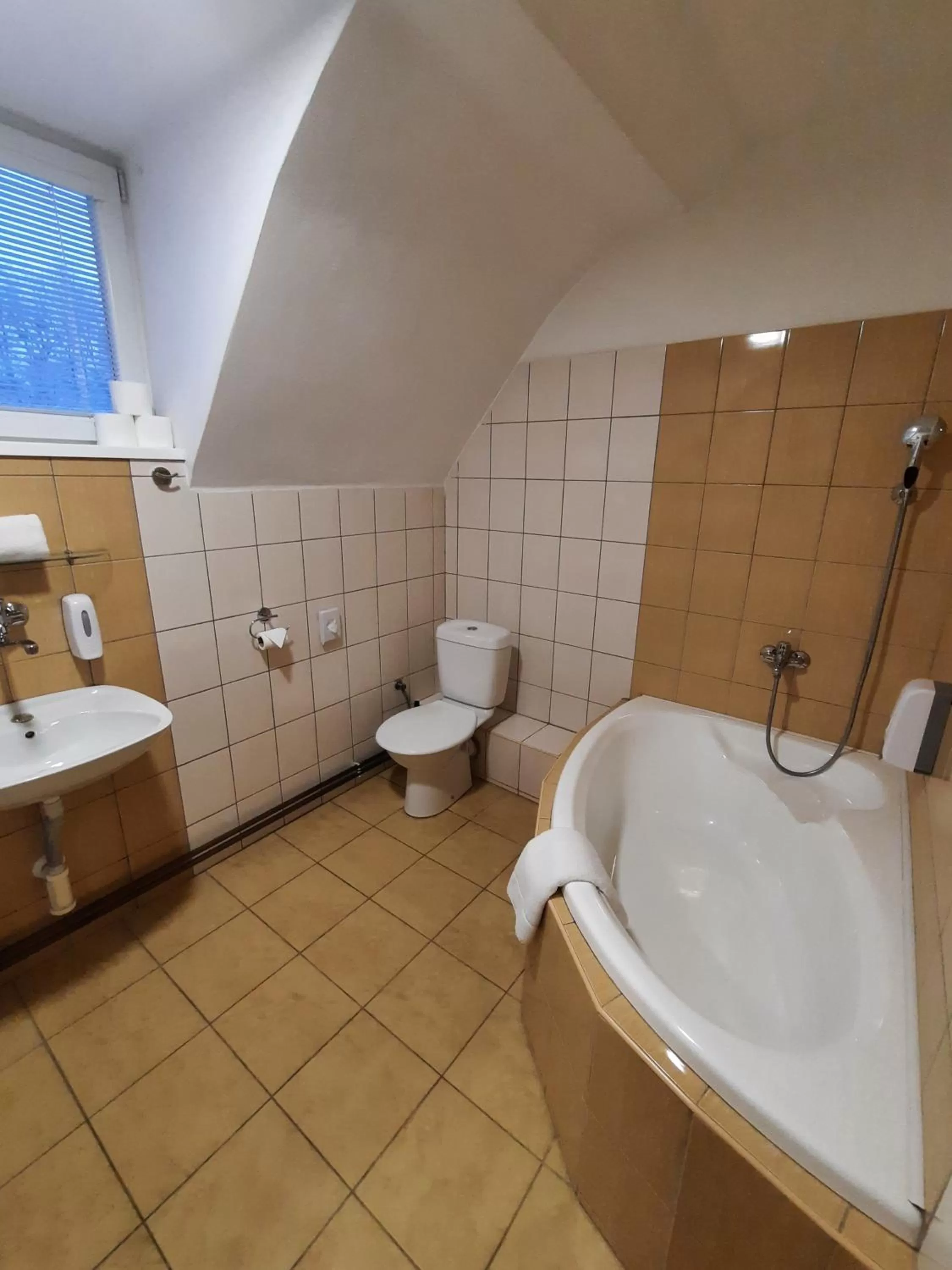 Shower in Hotel Boršičanka