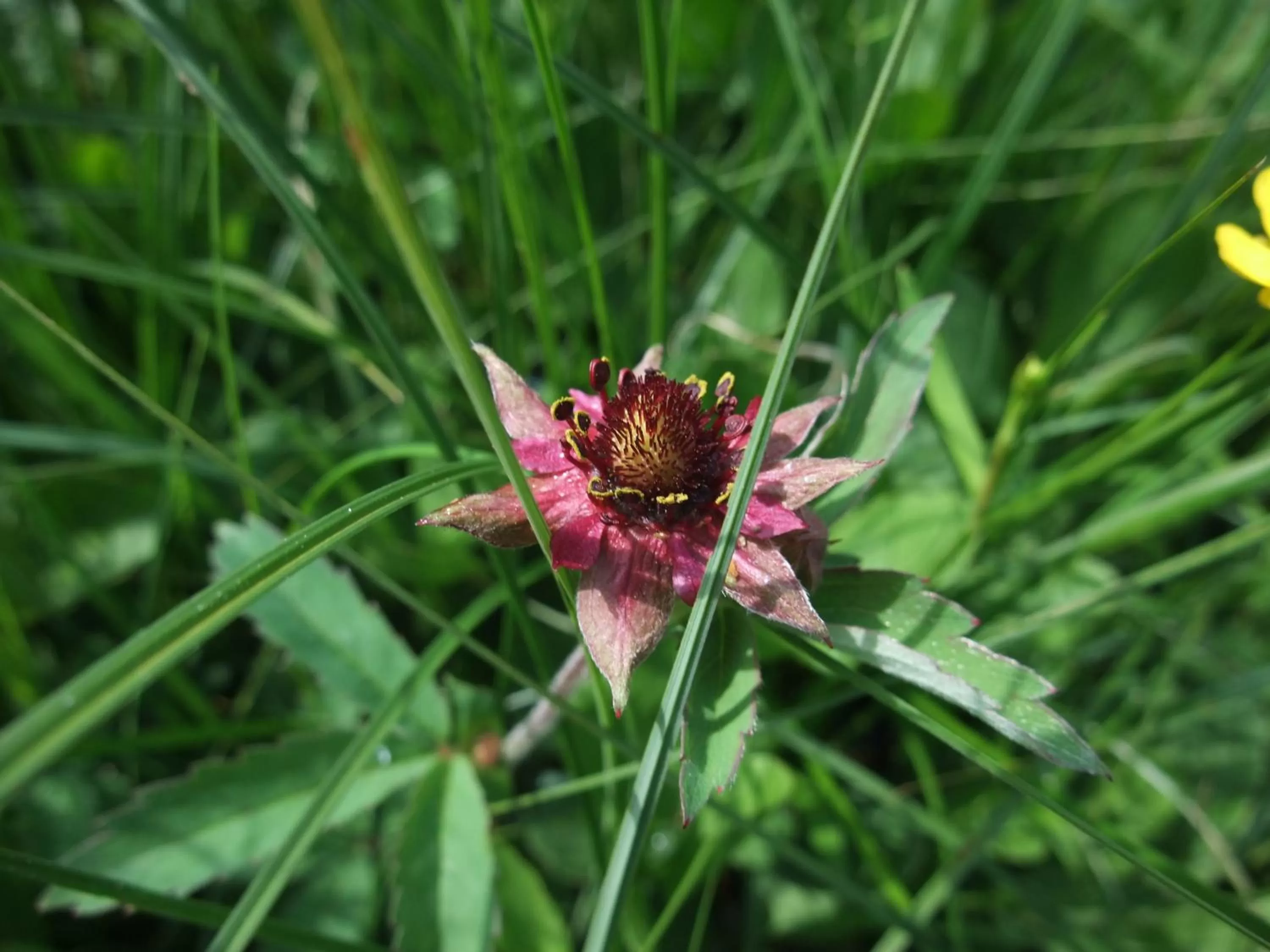 Staff in Schätzlhof OHG