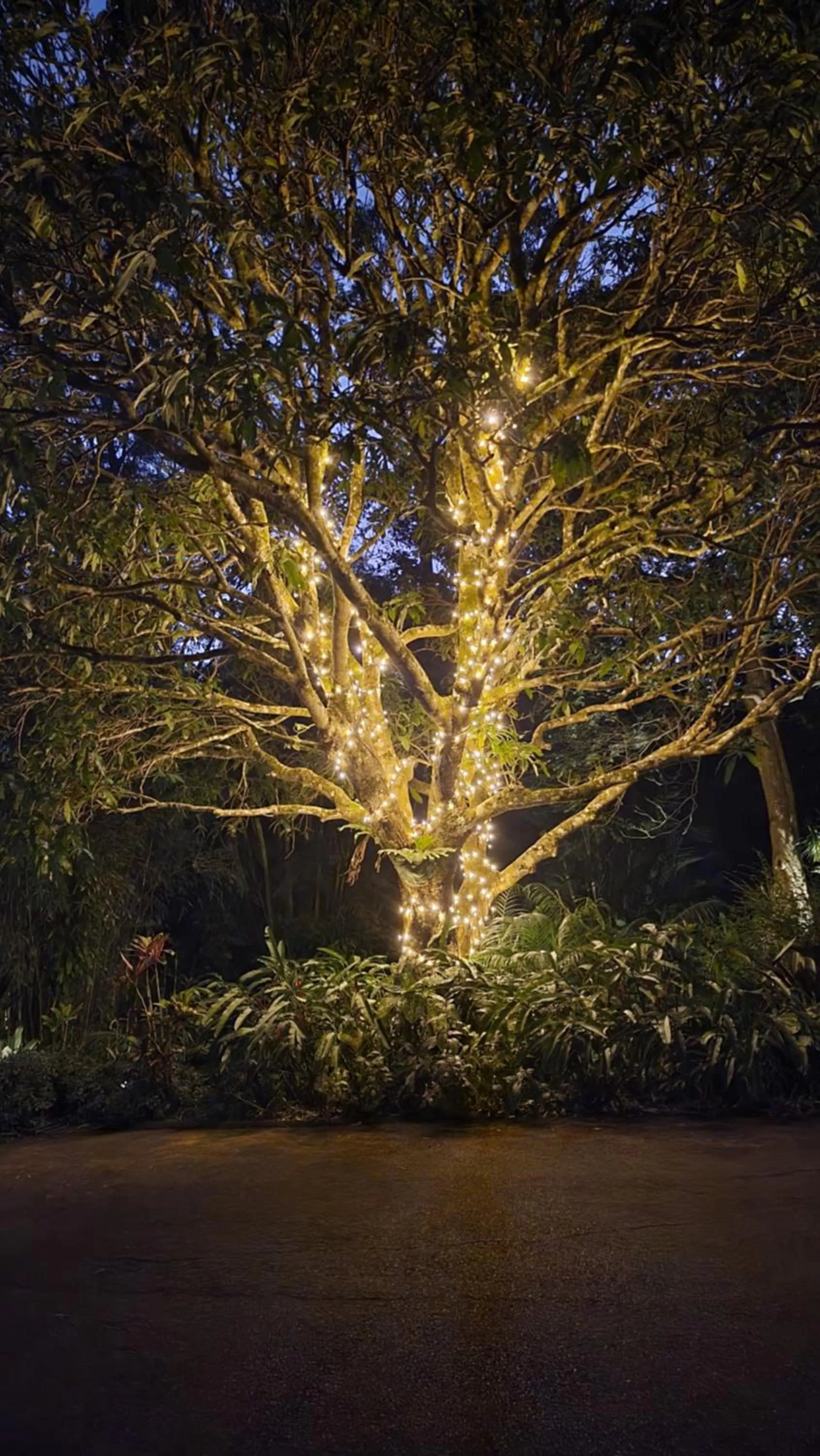 Night in Taman Sari Luxury Private Pavilions - Pet Friendly Accomodation