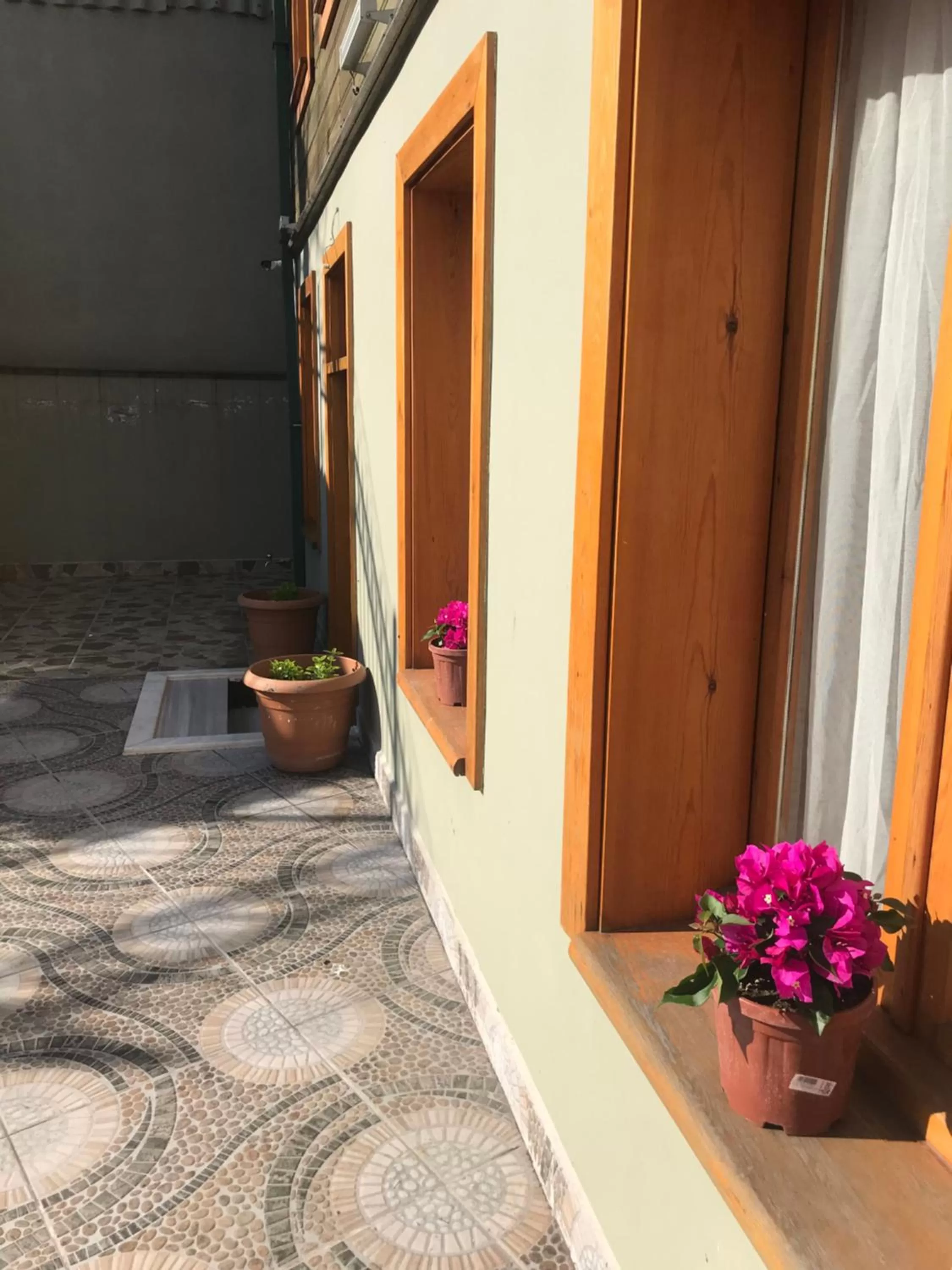 Garden in Green Mansion