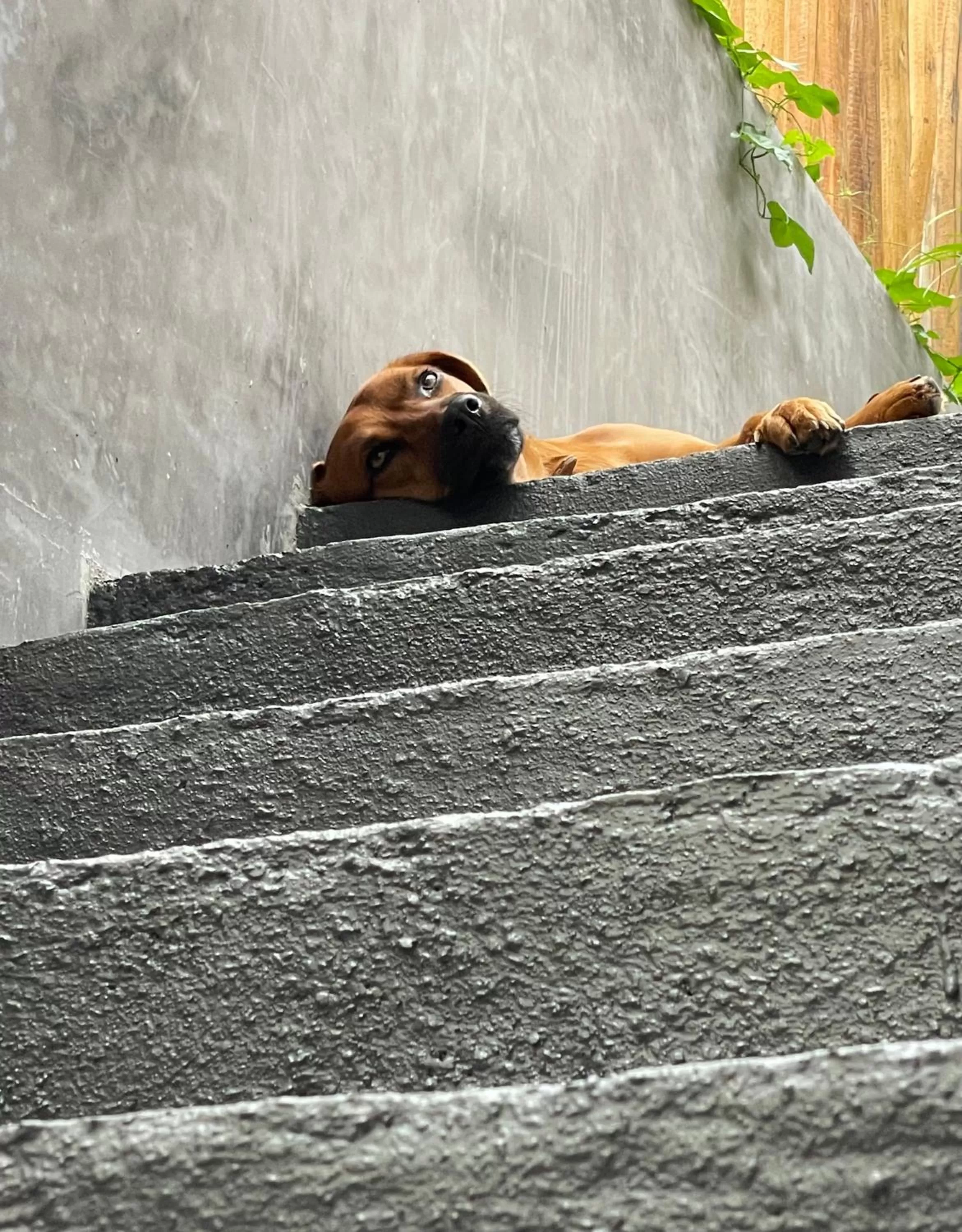 Property building in LOTE4 - LGBTQ Studios