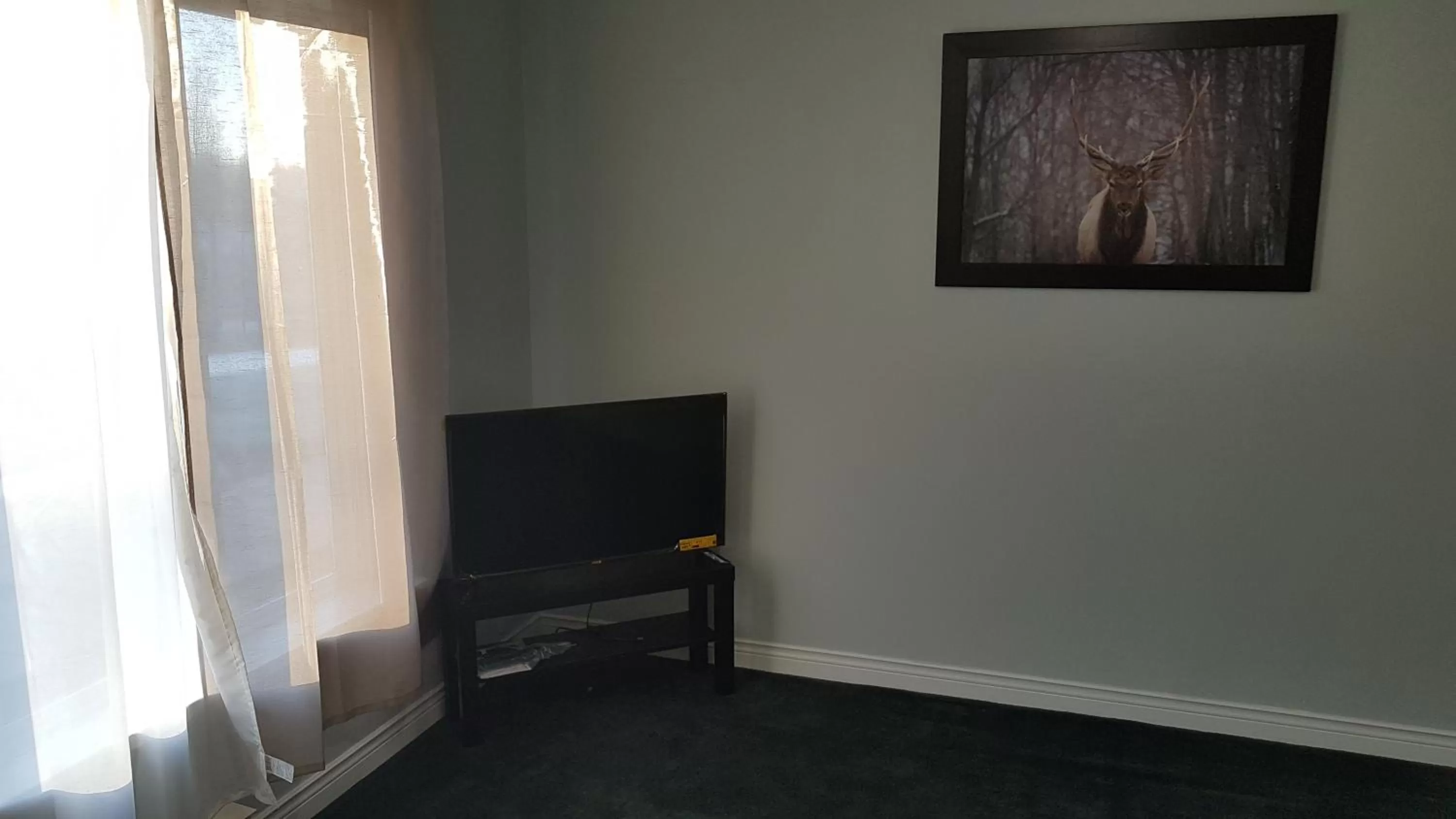 TV and multimedia in Executive Suites