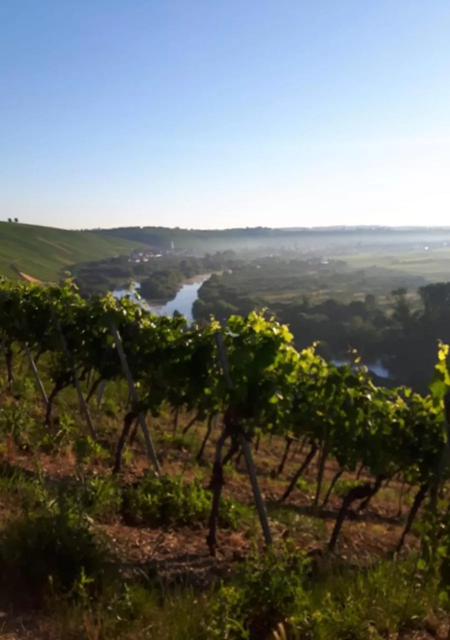 Staff in Aparthotel Alte Schmiede Dettelbach