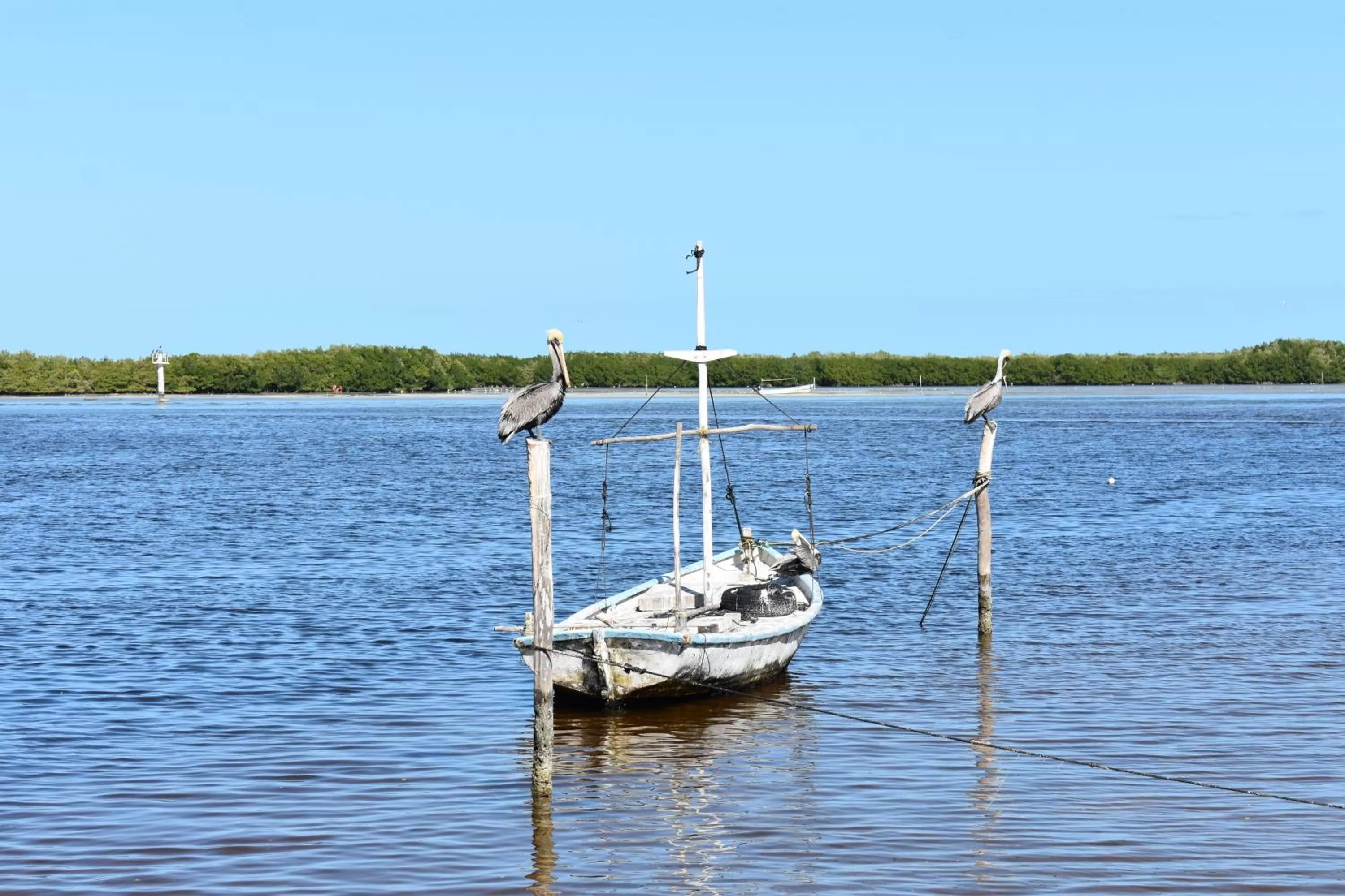 Natural landscape in Hotel Rio Lagartos