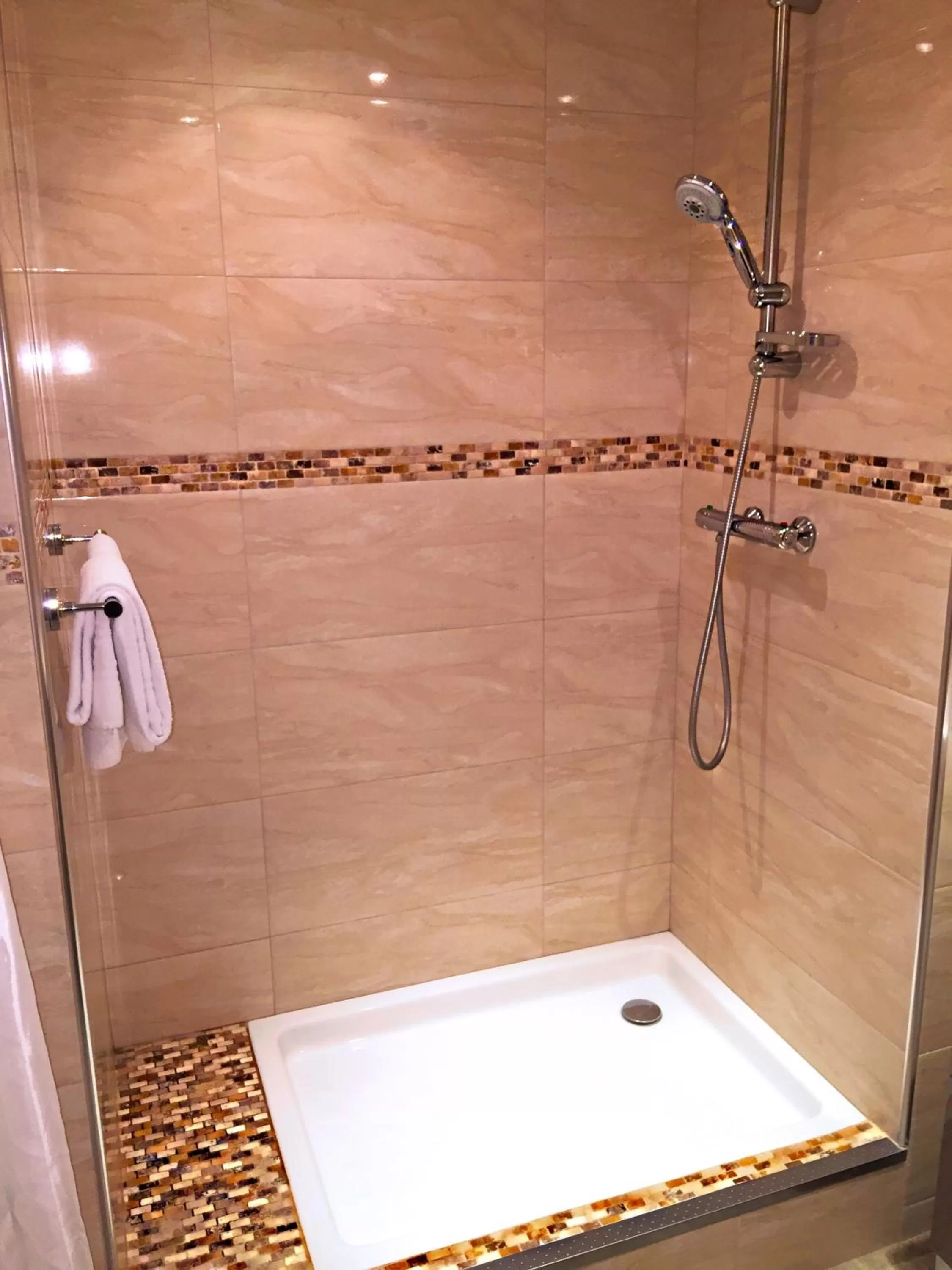 Shower in Hotel Saint-Aignan