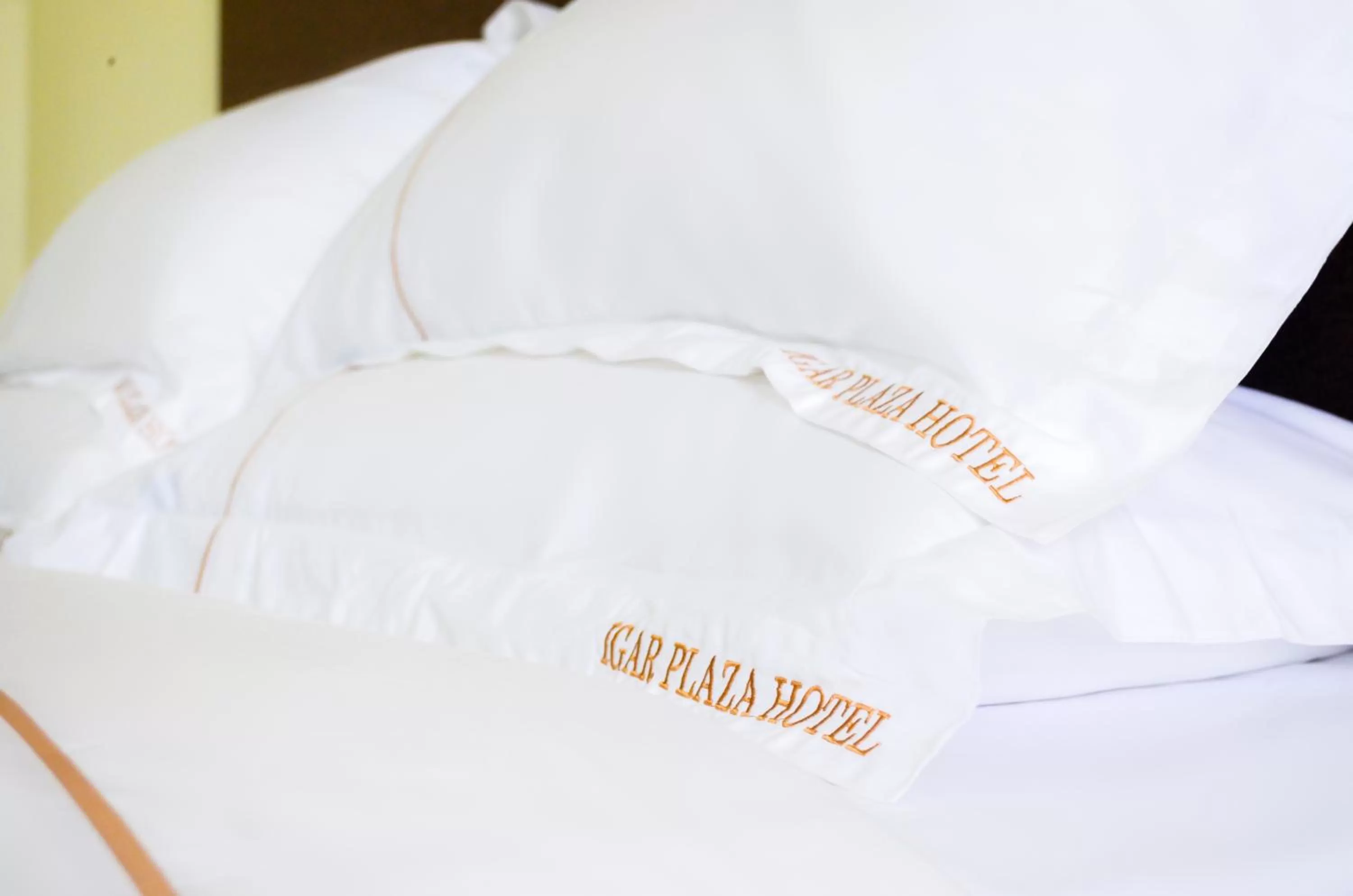 Decorative detail, Bed in Igar Plaza Hotel
