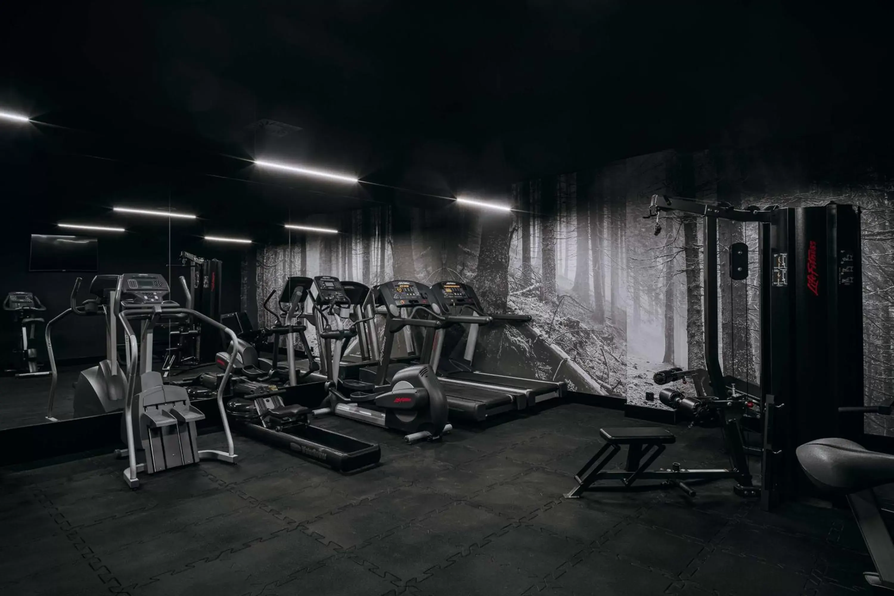 Radisson Hotel Szklarska Poręba Radisson Hotel Szklarska Poręba