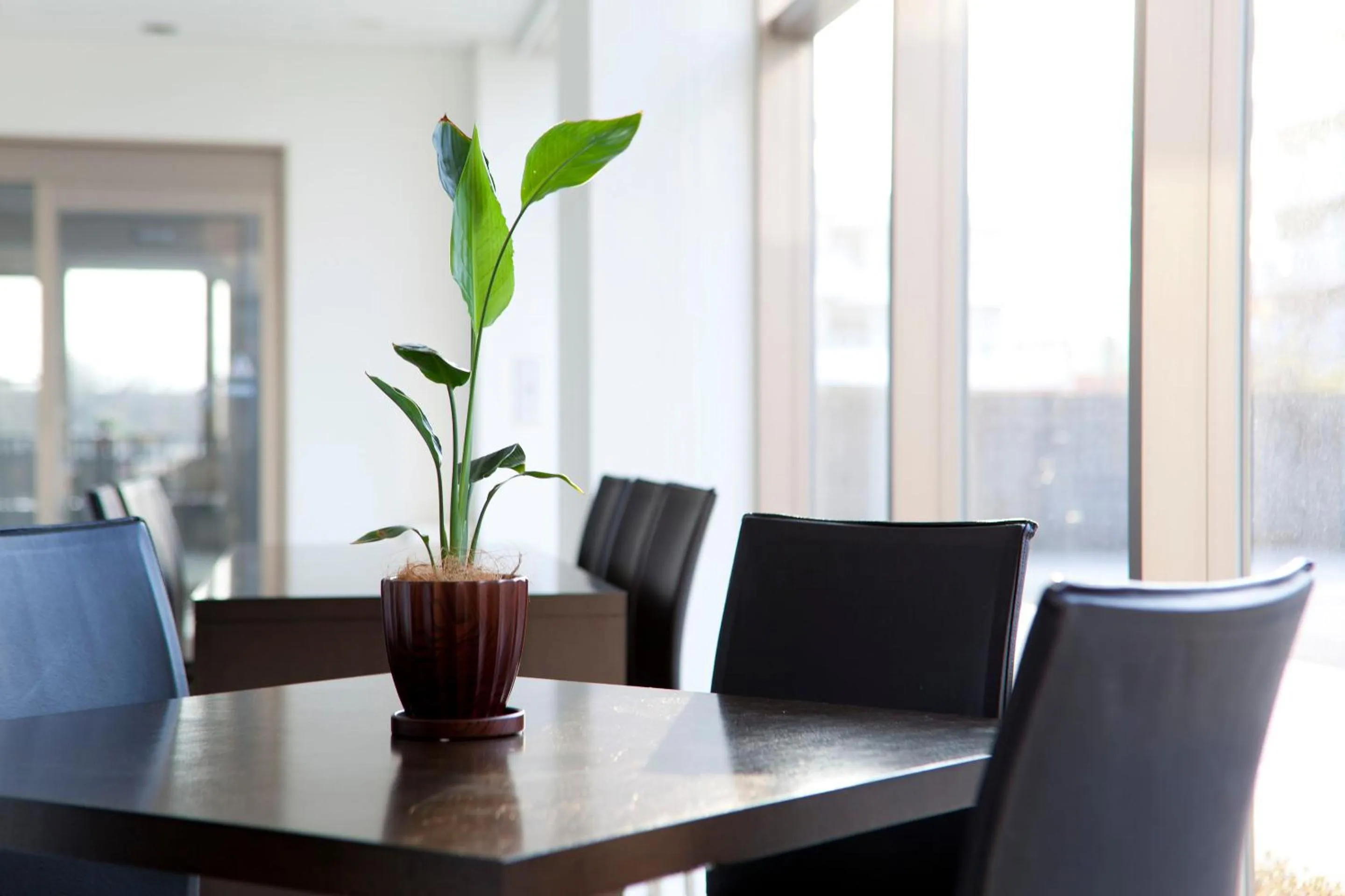 Area and facilities in Athena Kaigetsu