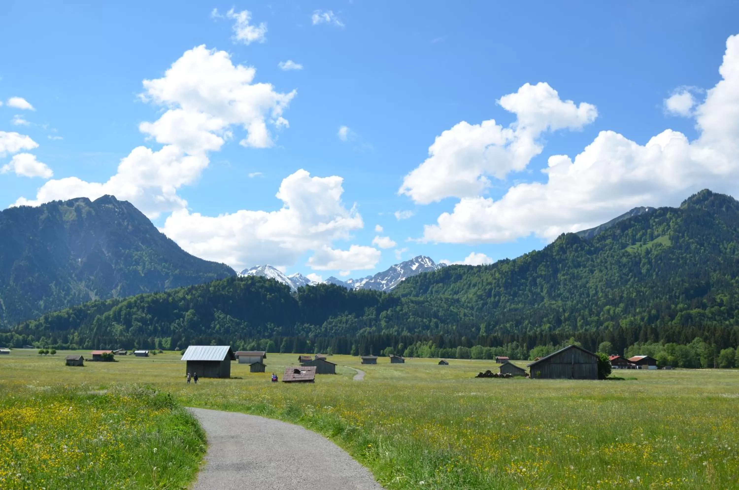 Natural landscape in Hotel Cafe Fuggerhof
