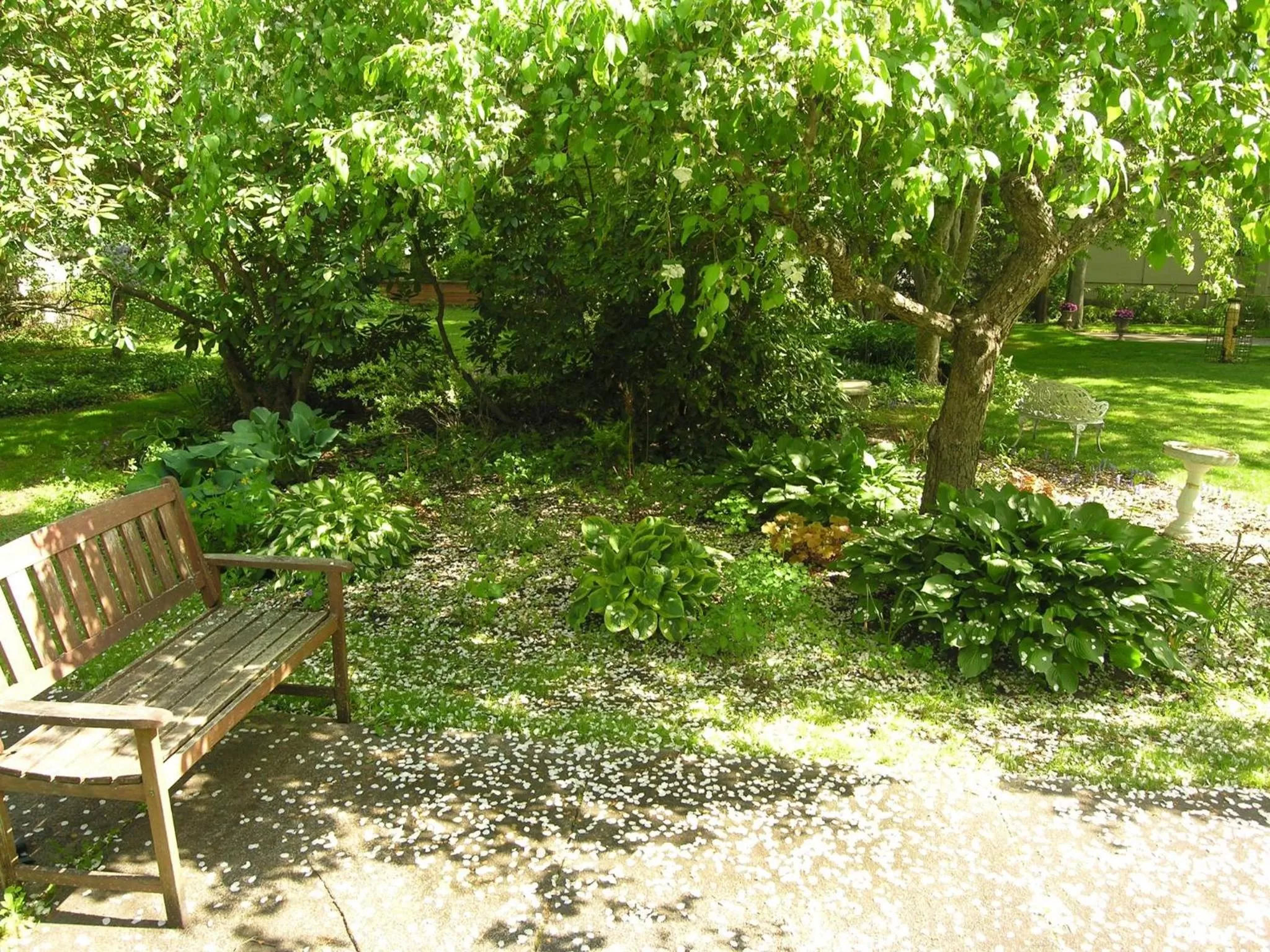 Garden in Delano Homestead Bed and Breakfast