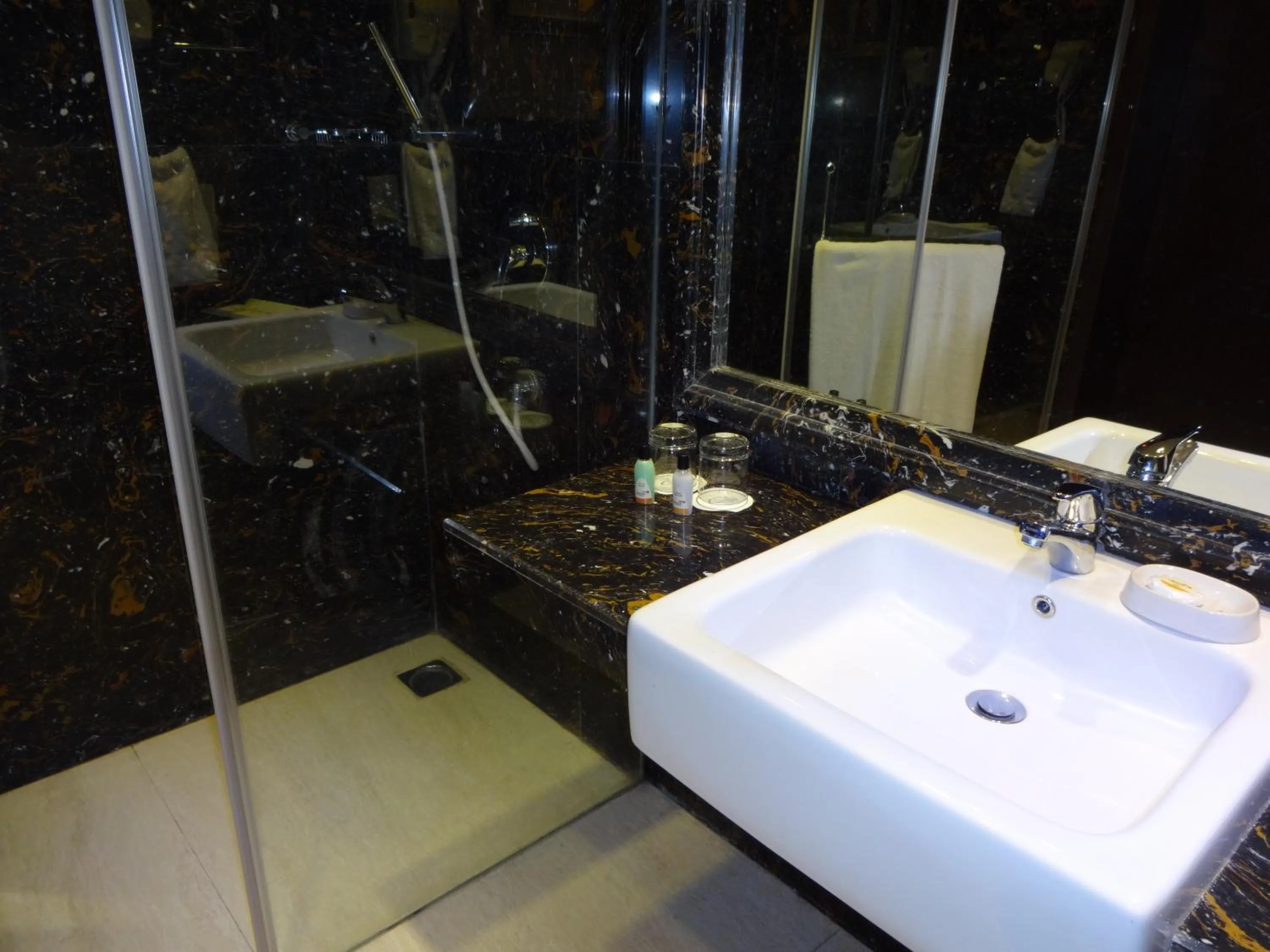 Bathroom in Savera Hotel