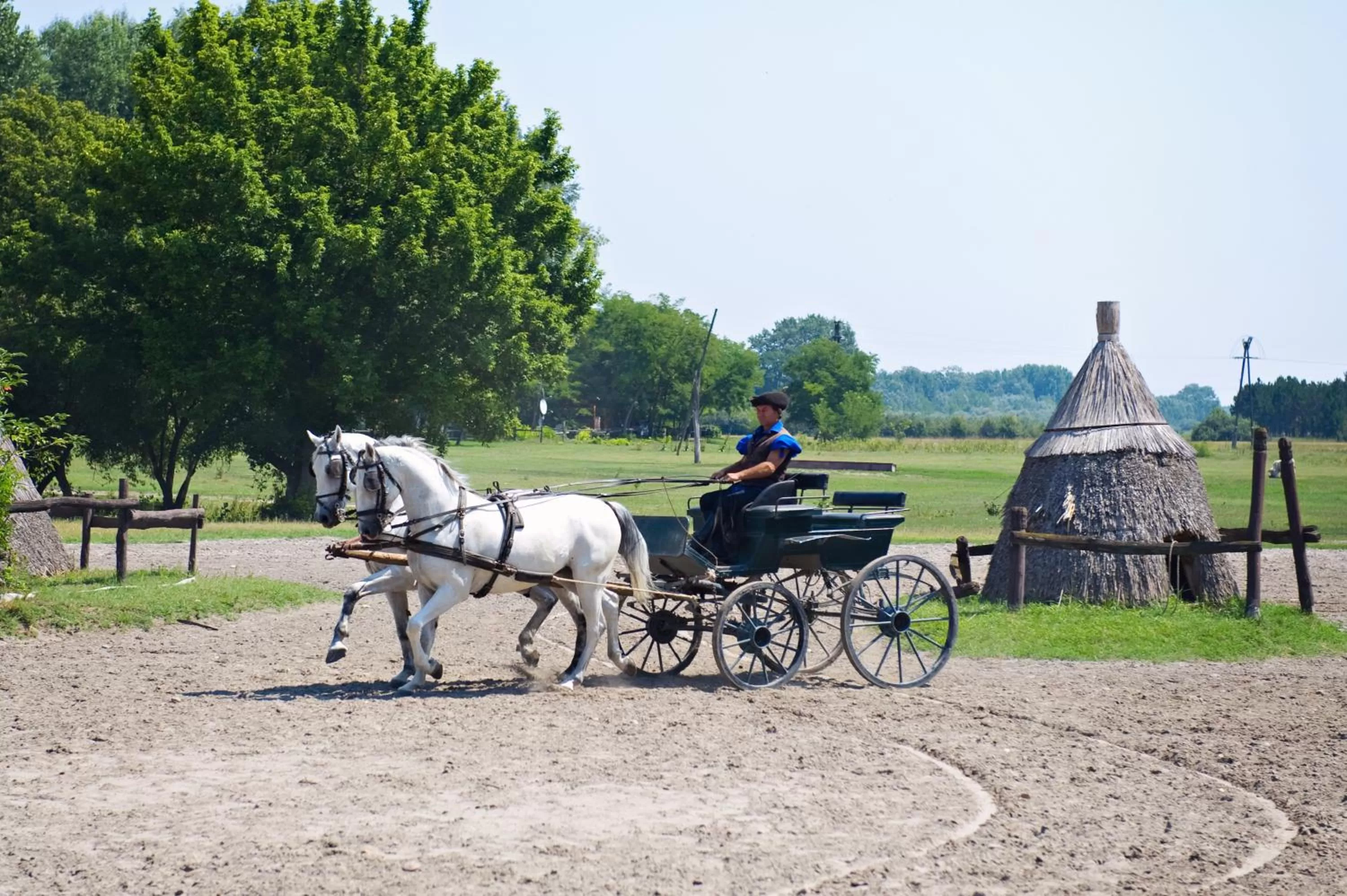 Day in Varga Tanya Hotel