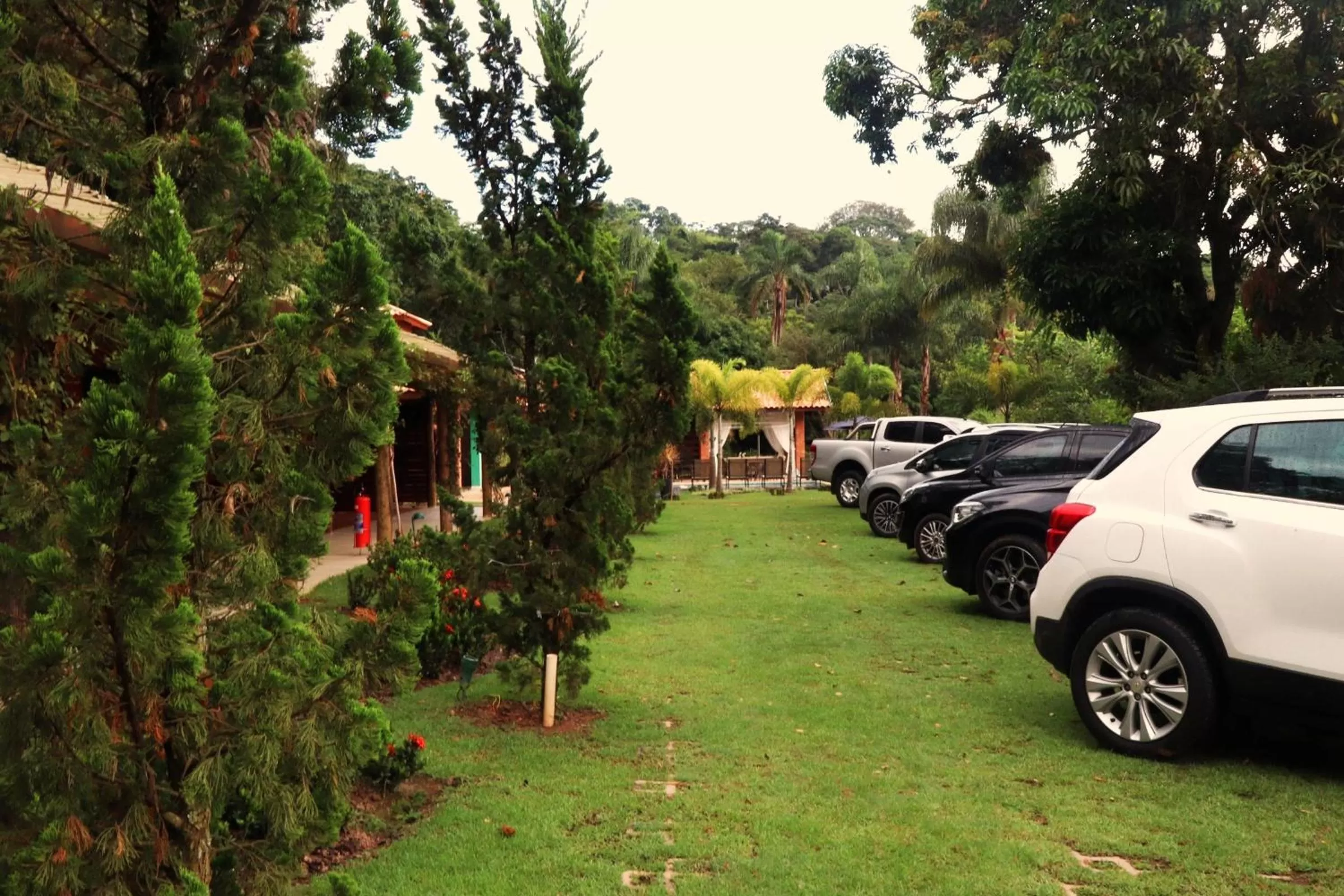 Garden in Pousada Santa Thereza