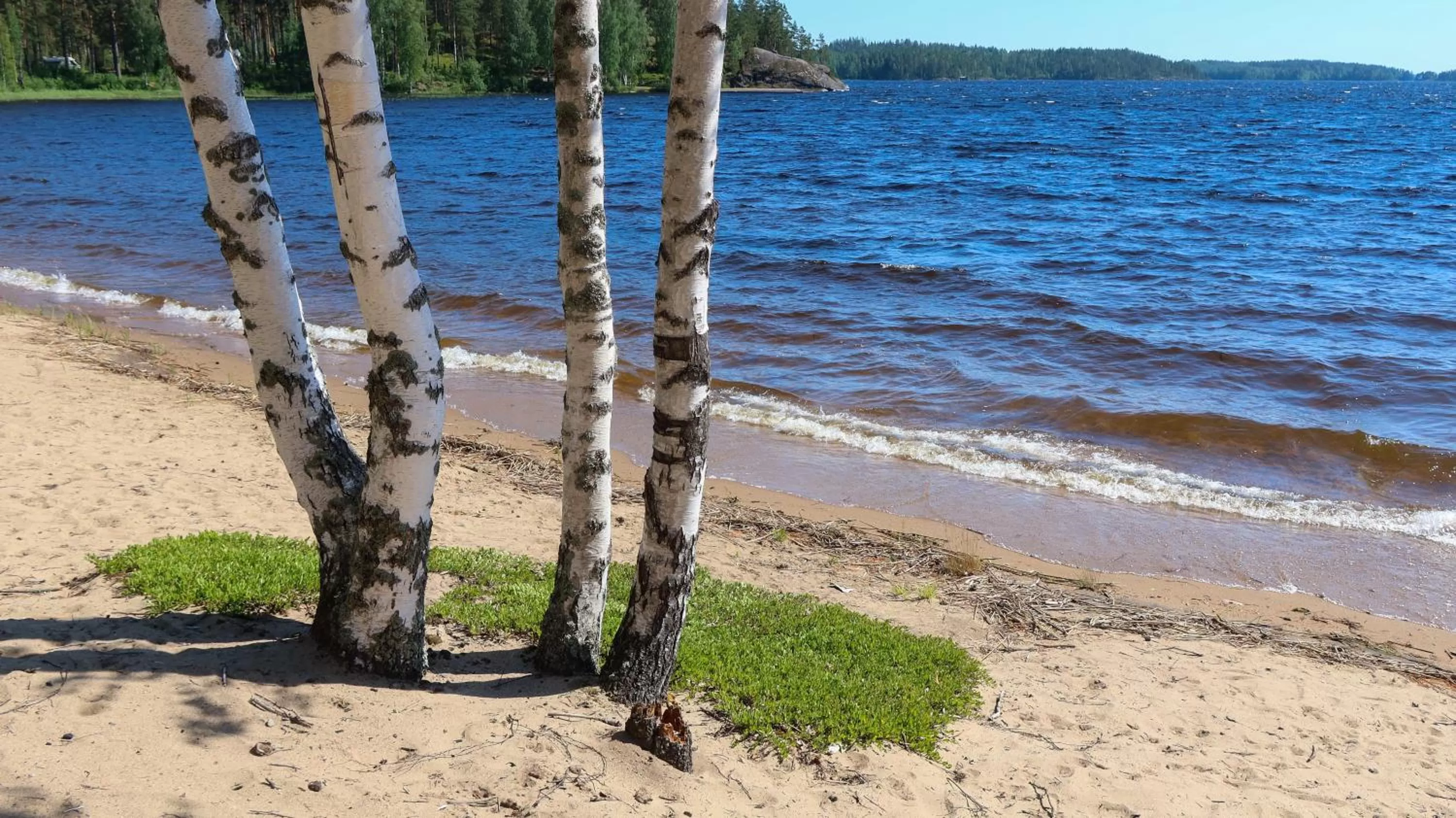 Natural landscape in Pistohiekka Resort