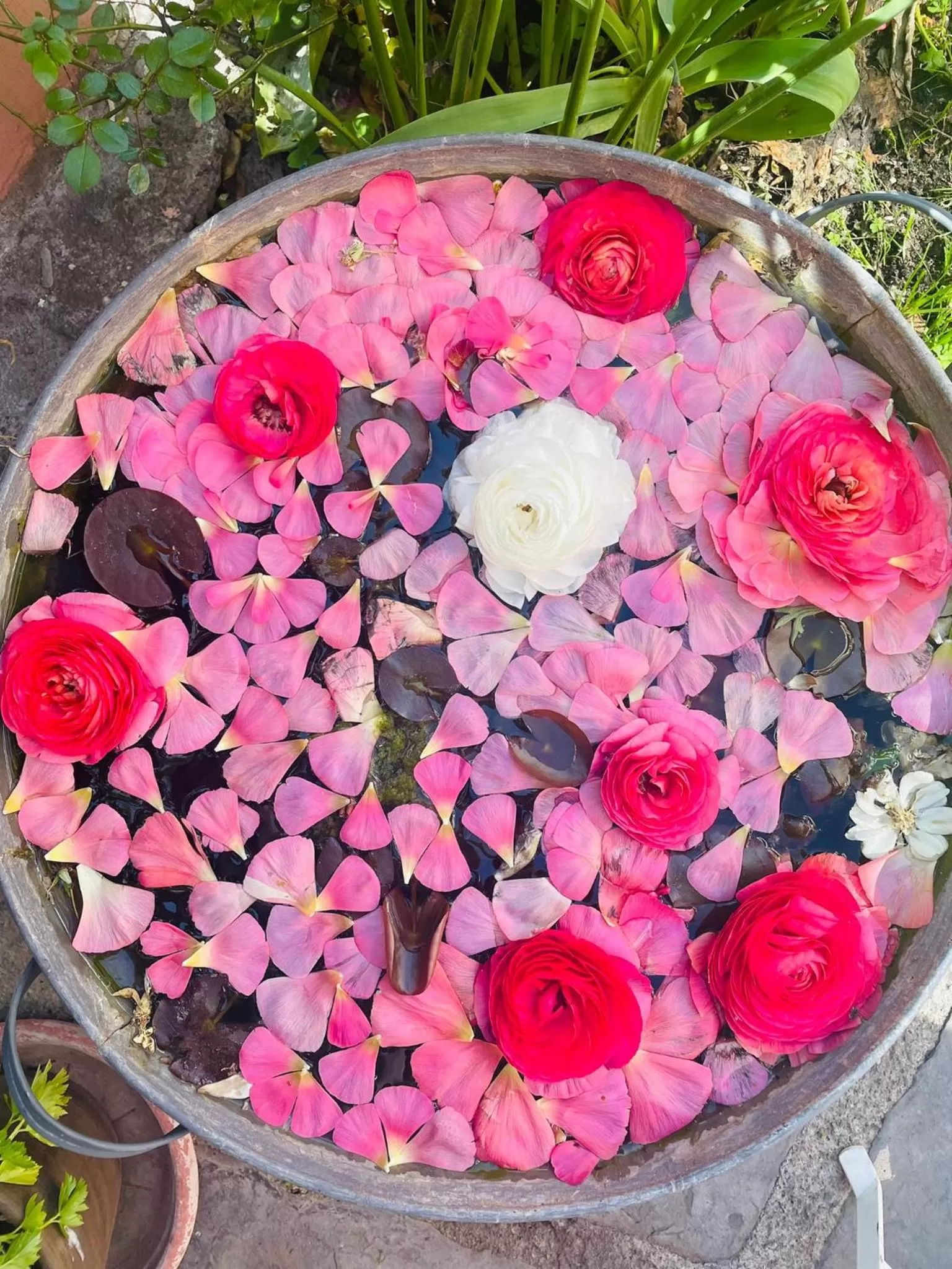 Ti vengo a cercare B&B