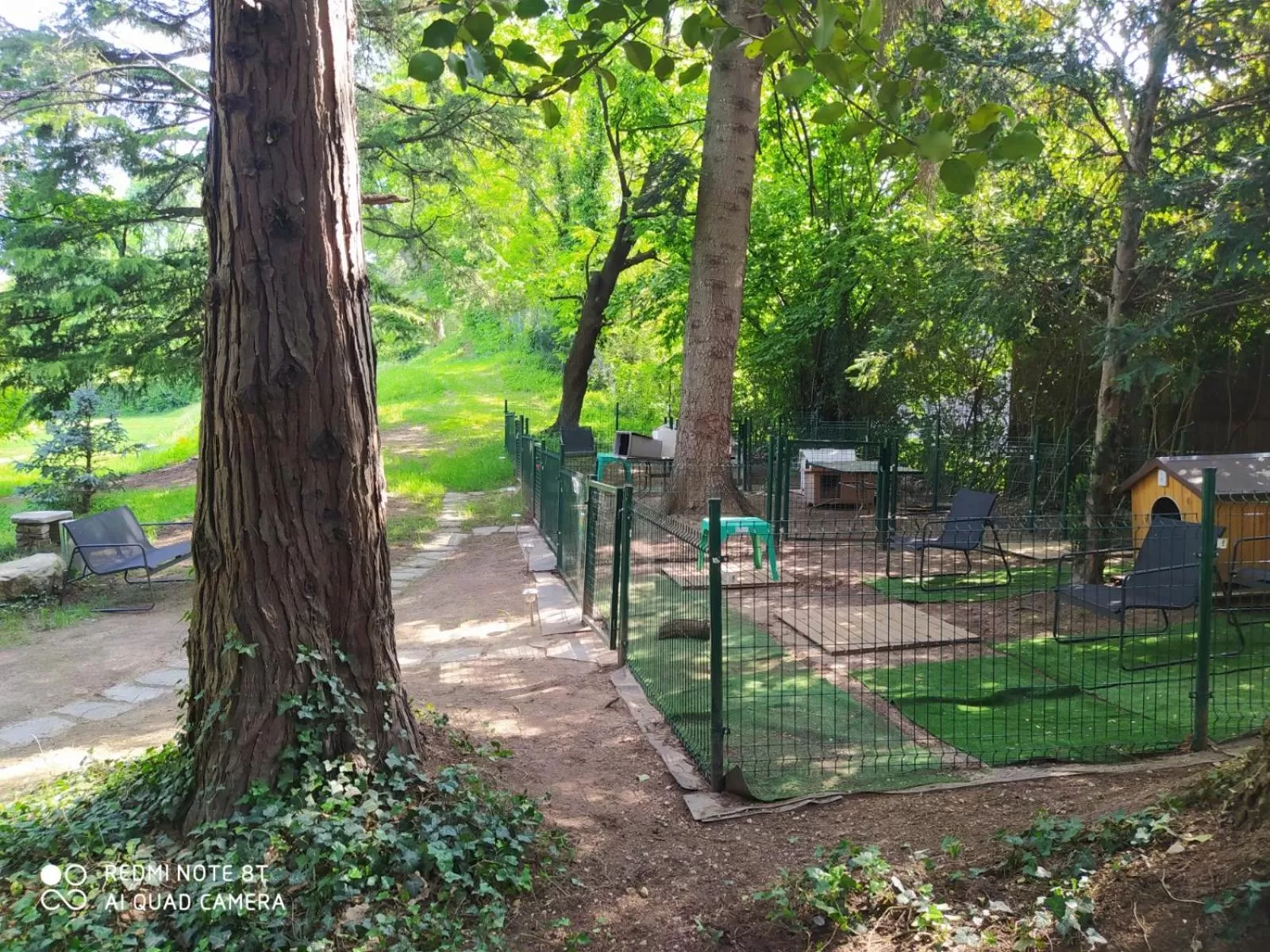 "La Selvetta" bed and breakfast