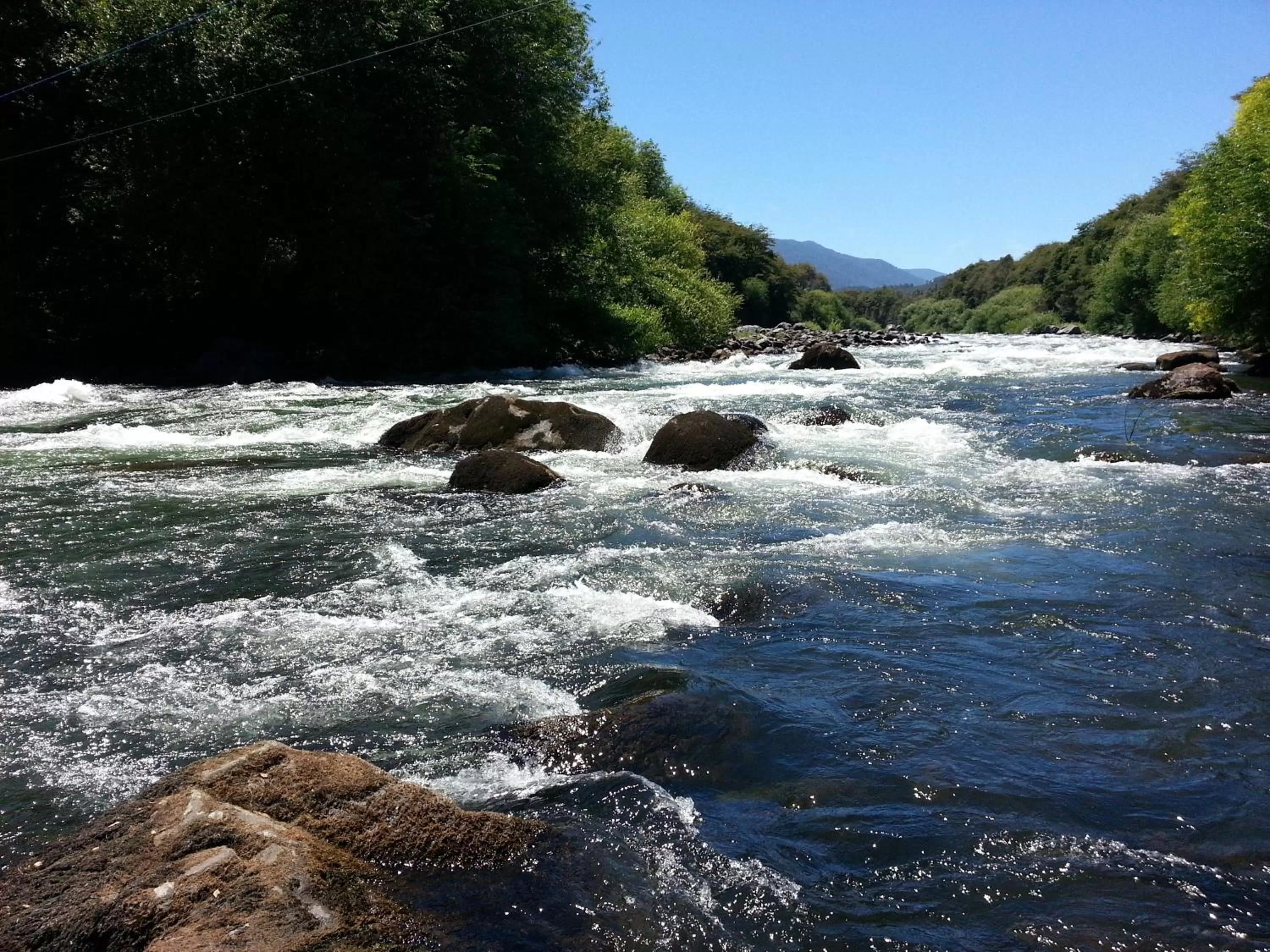 Area and facilities in Hotel Posada del Río - Parque Metreñehue