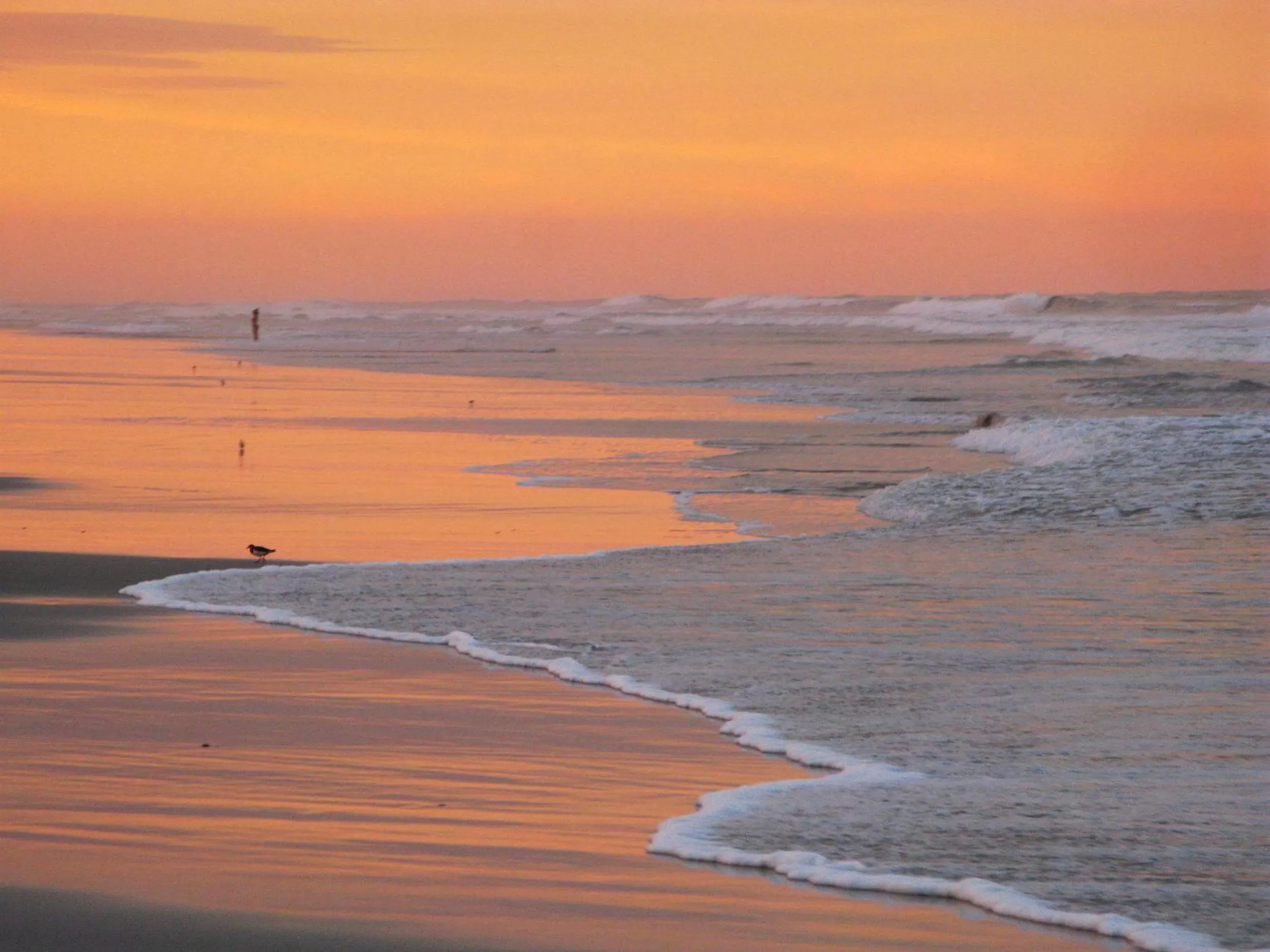 Beach in Guy Harvey Resort on Saint Augustine Beach