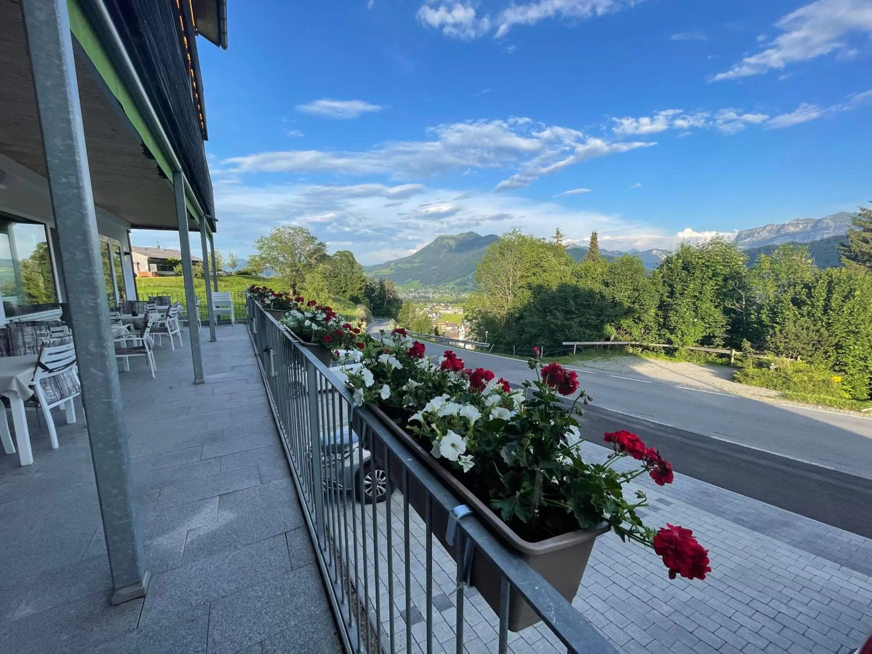 Landmark view in Panoramahotel Sonnhalde