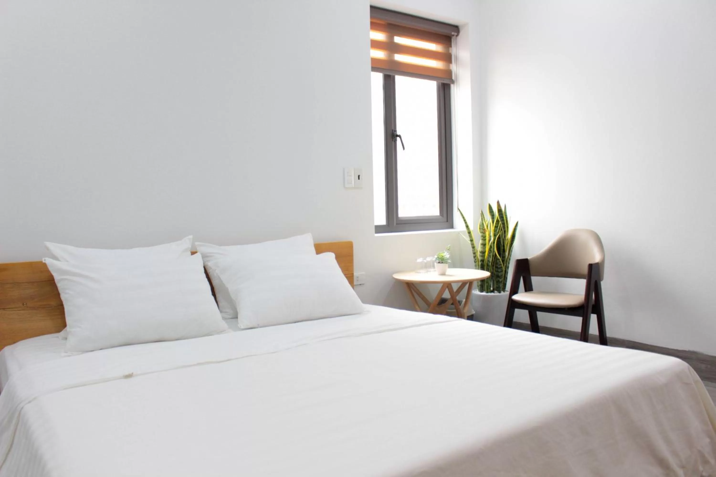 Bed in ᴛᴀᴍ ᴄᴏᴄ ᴄᴏᴄᴏᴏɴ ʜᴏᴍᴇsᴛᴀʏ