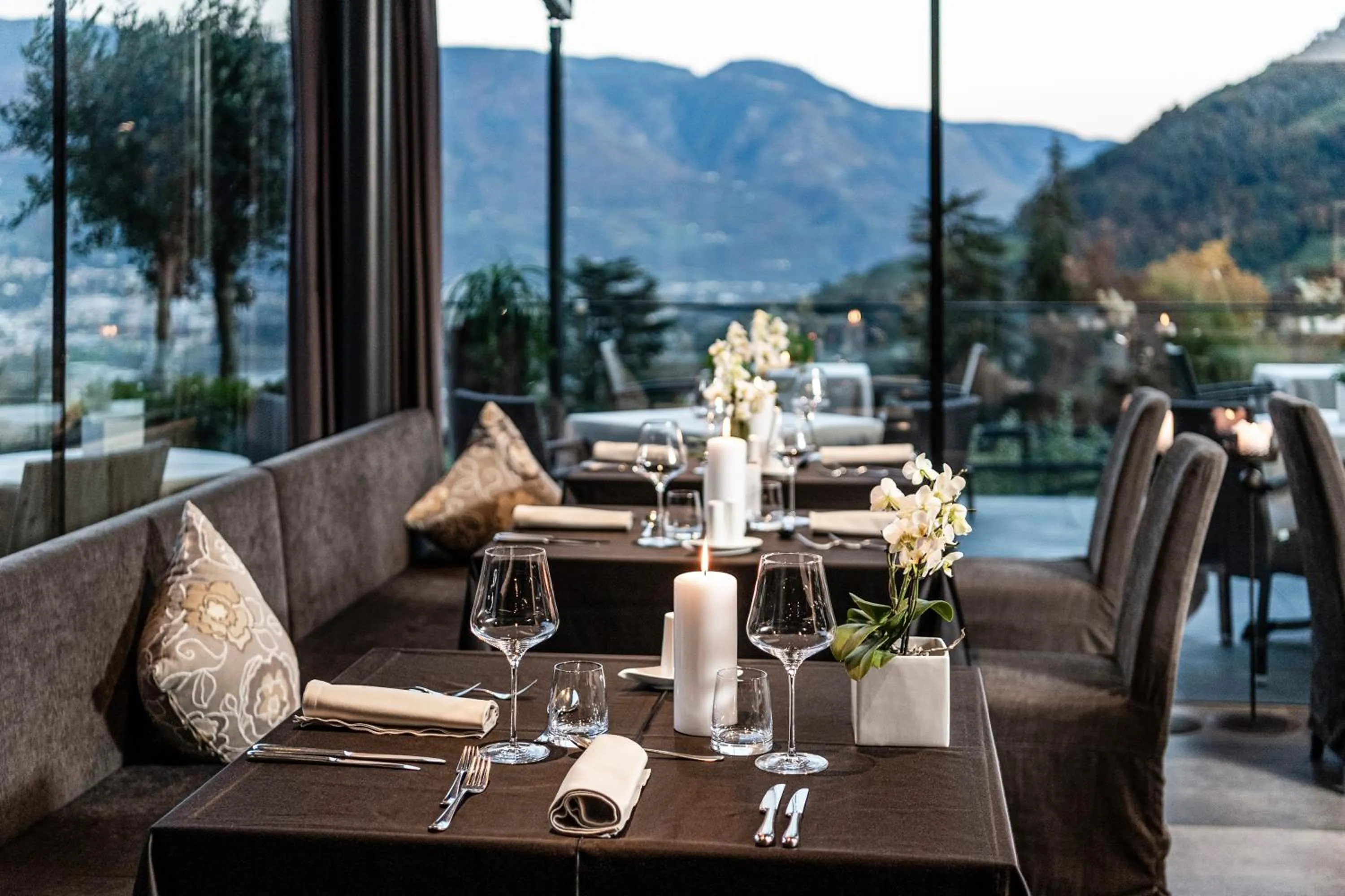 Restaurant/places to eat in Avidea - Adults Only