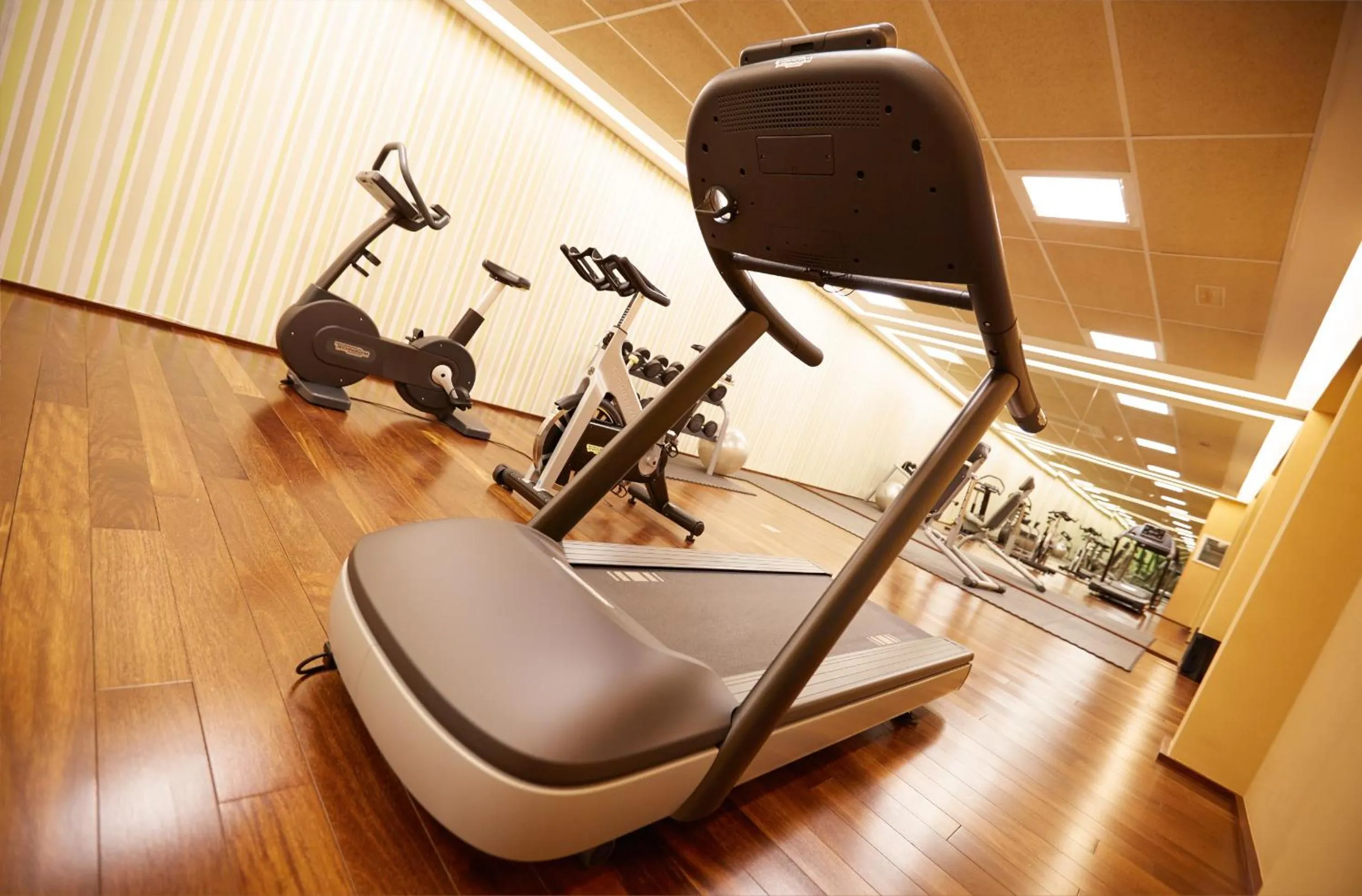 Fitness centre/facilities in Hotel Ego