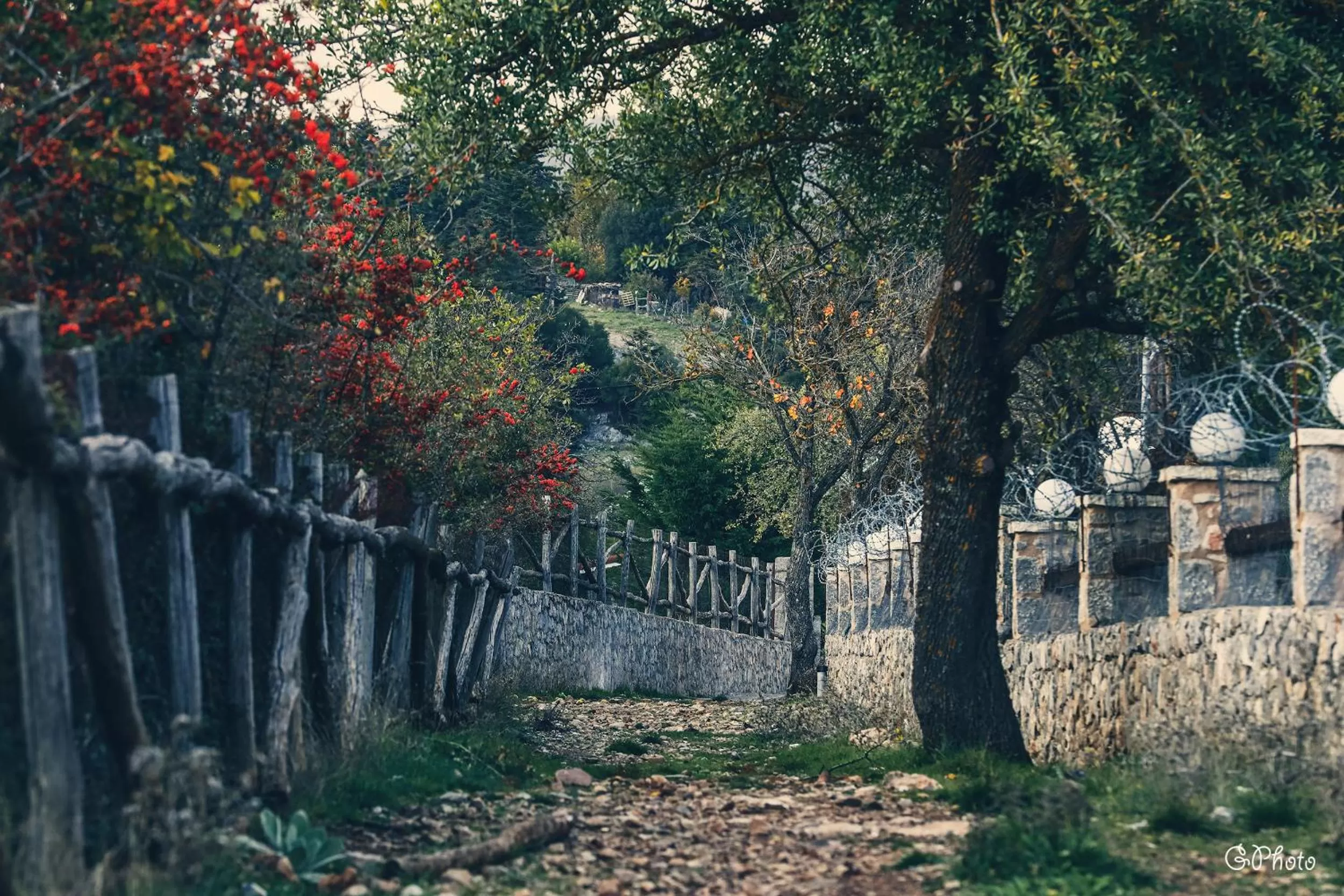 ViP Chalet 4 Seasons