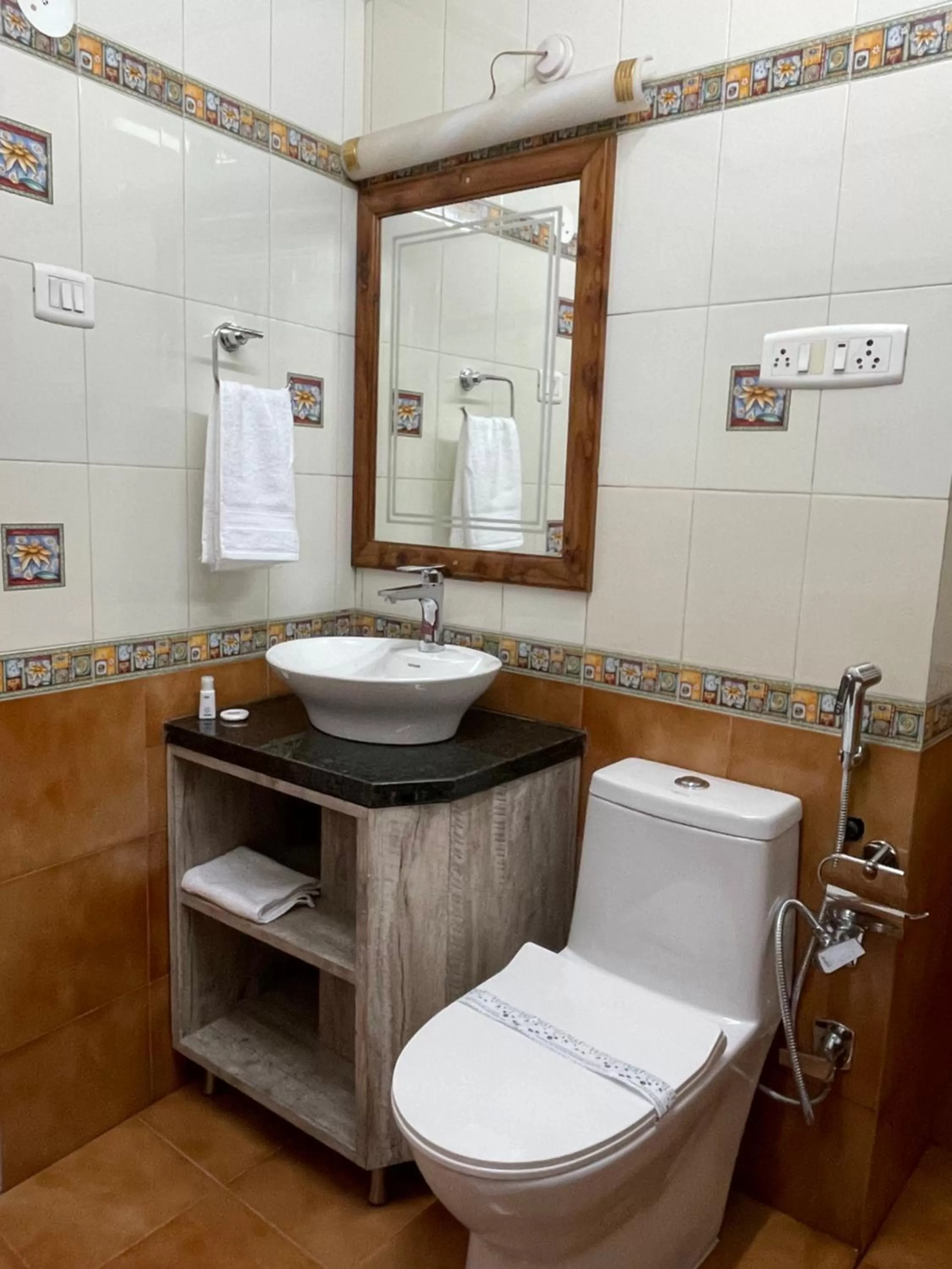 Toilet in The Edgeworth