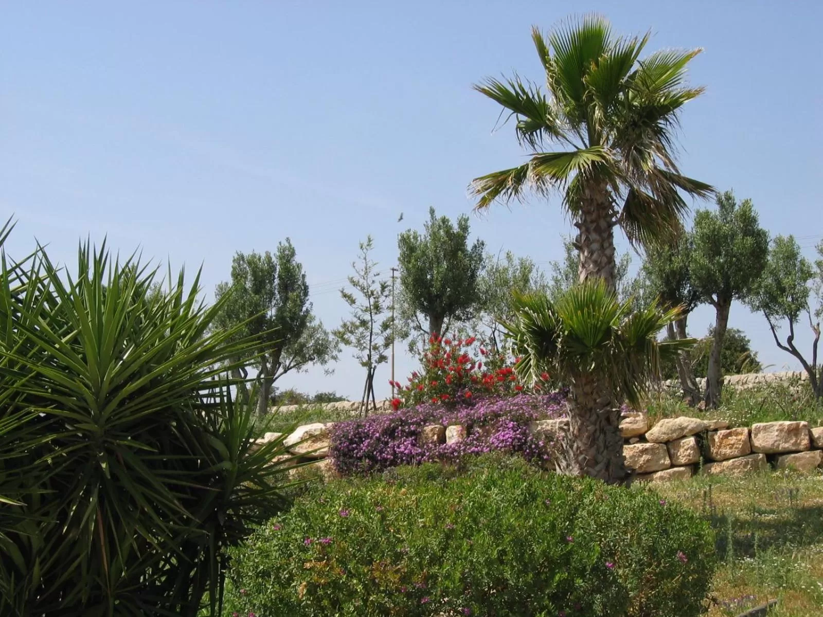 Garden in Relais Parco Cavalonga
