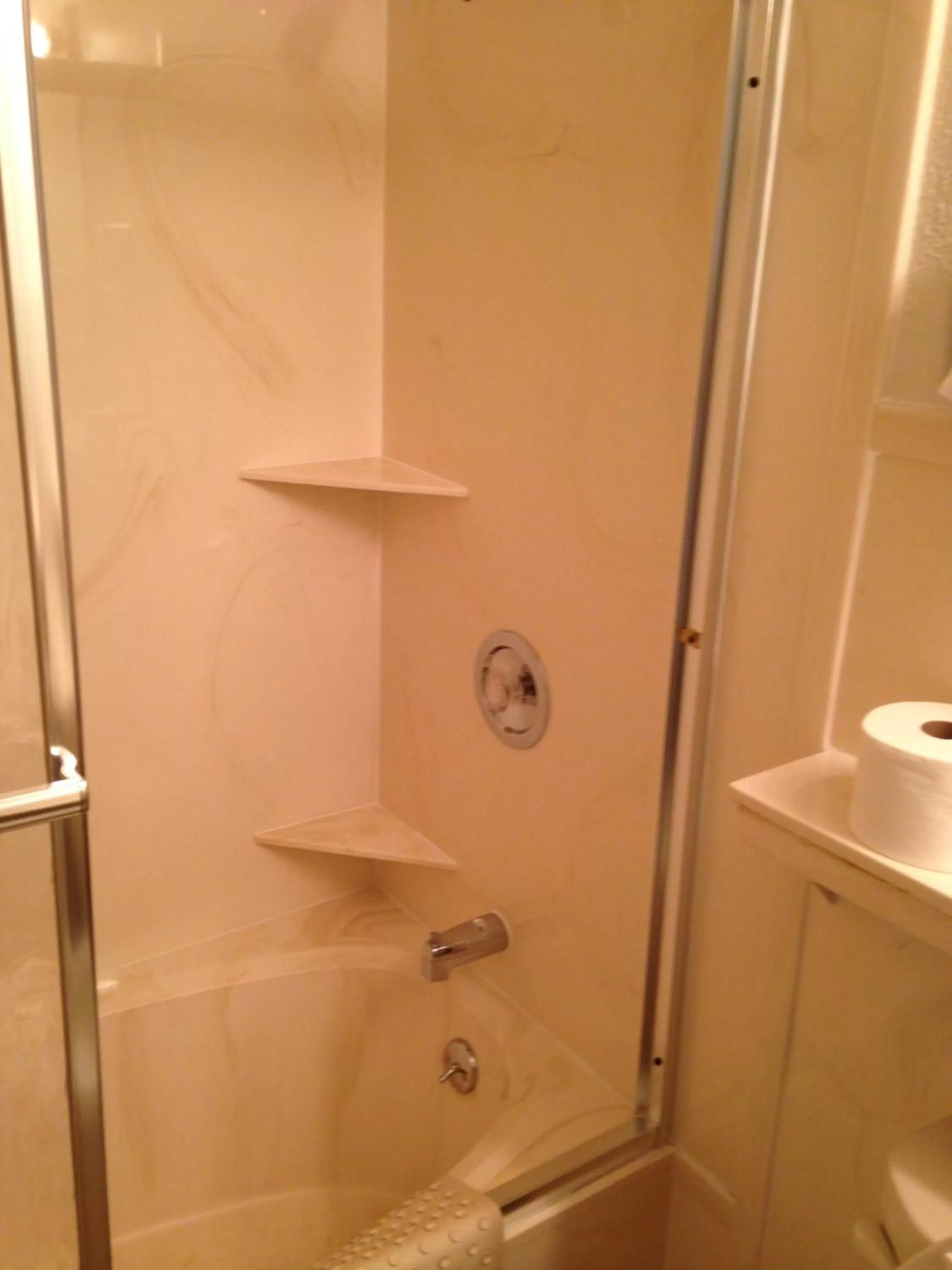 Shower in Siesta Motel