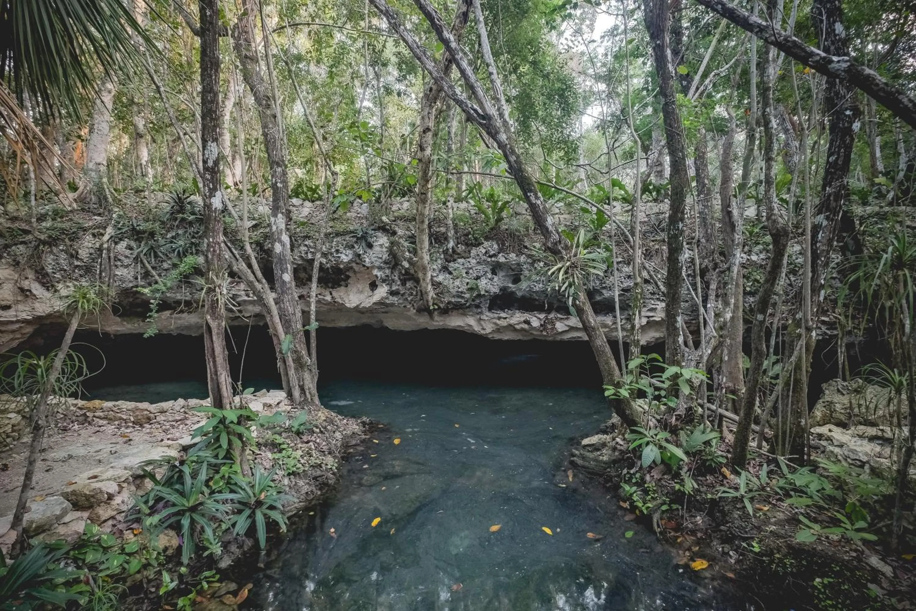 Natural landscape in Wakax Hacienda - Cenote & Boutique Hotel - Small Luxury Hotels of the World