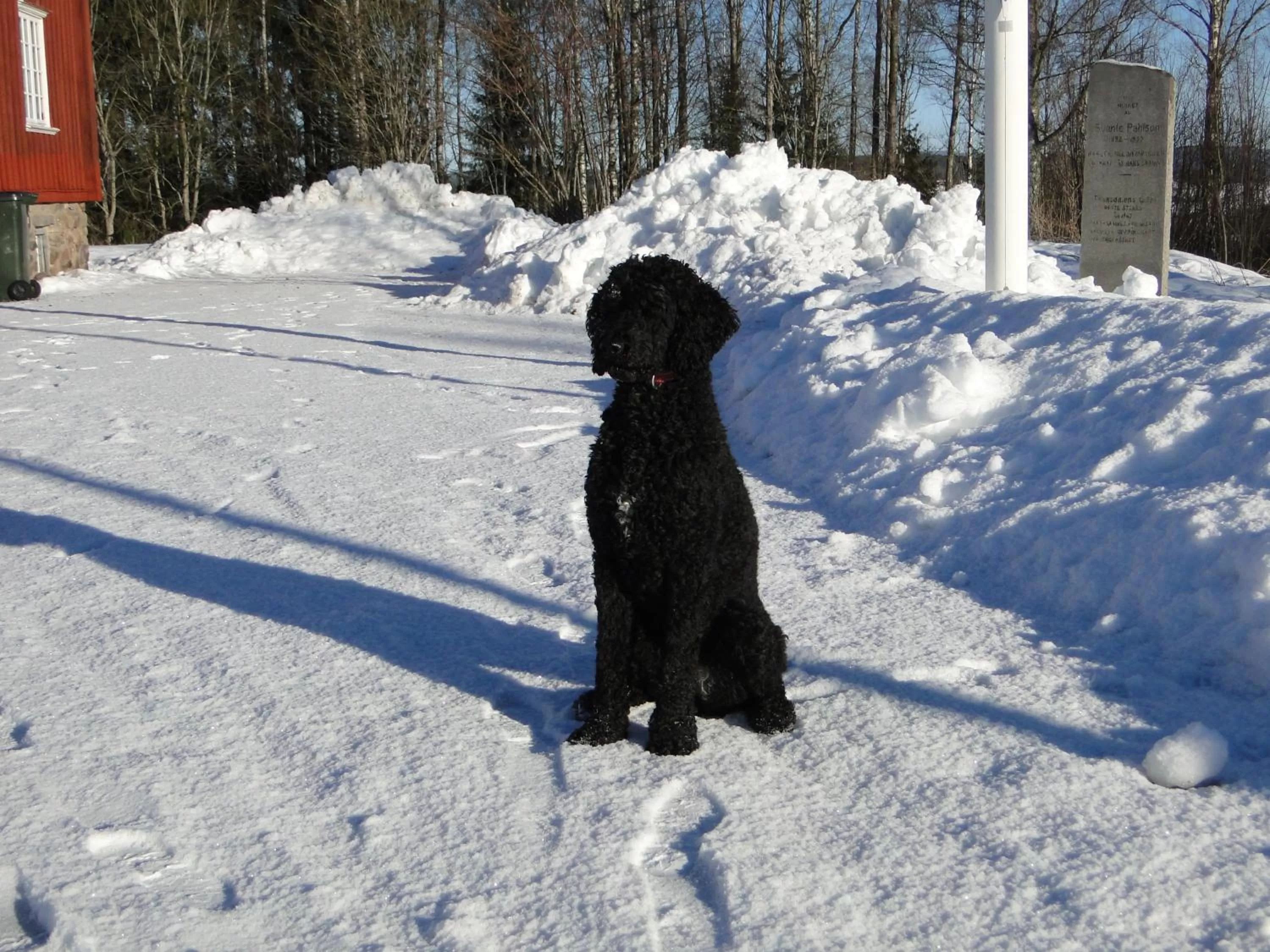 Winter in Sunne Hembygdsgård B&B