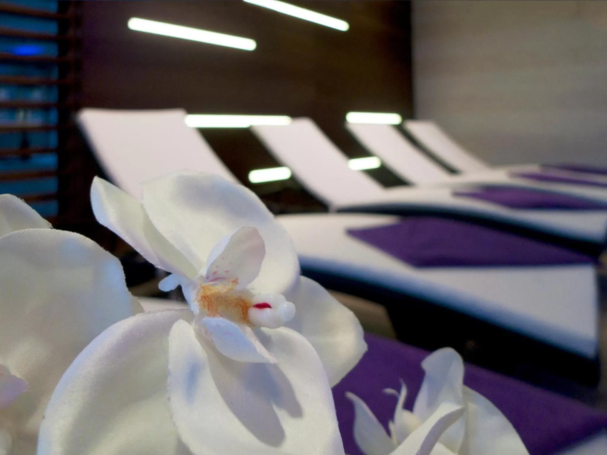 Spa and wellness centre/facilities, Bed in Hotel Adria
