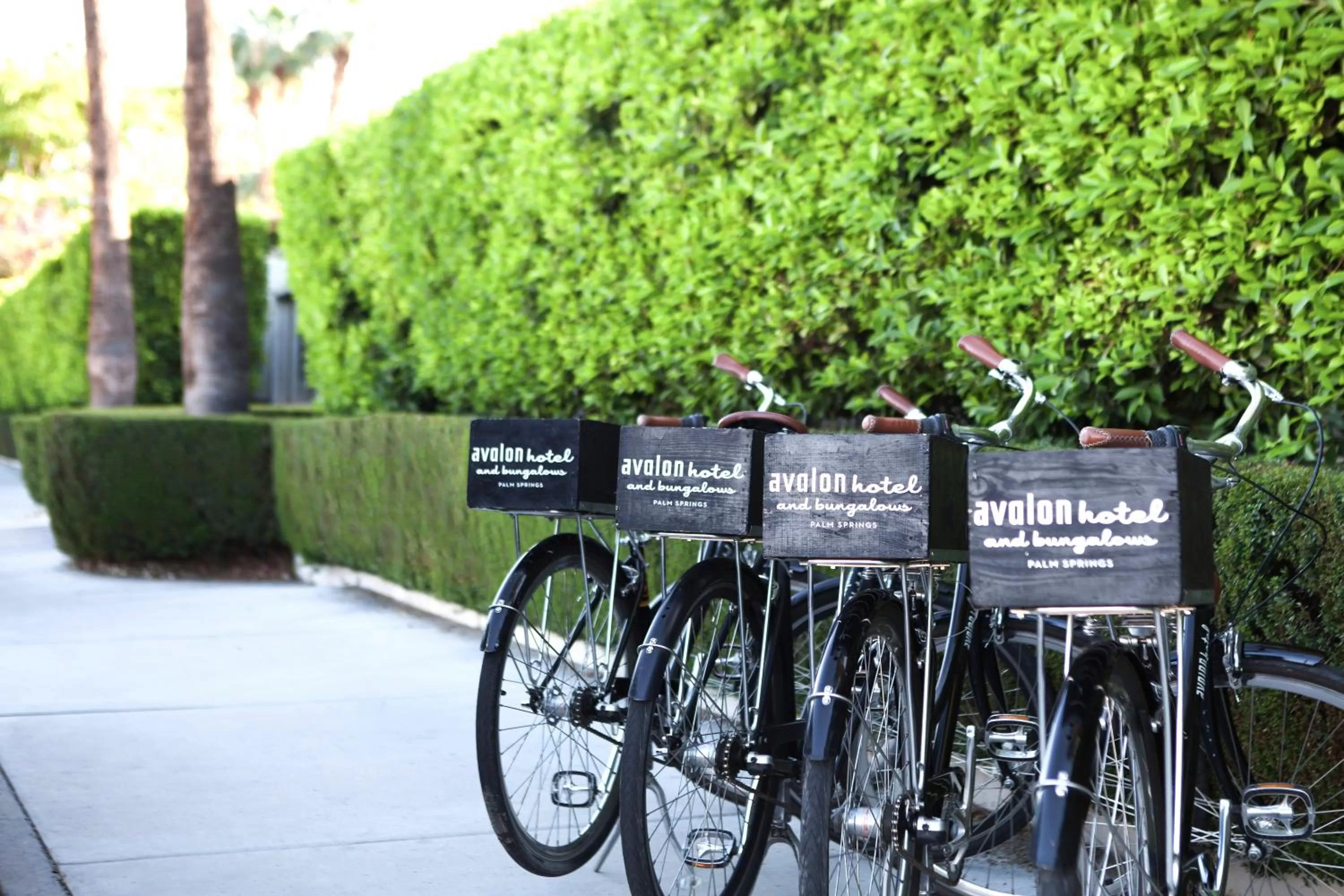 Cycling in Avalon Hotel & Bungalows Palm Springs, a Member of Design Hotels
