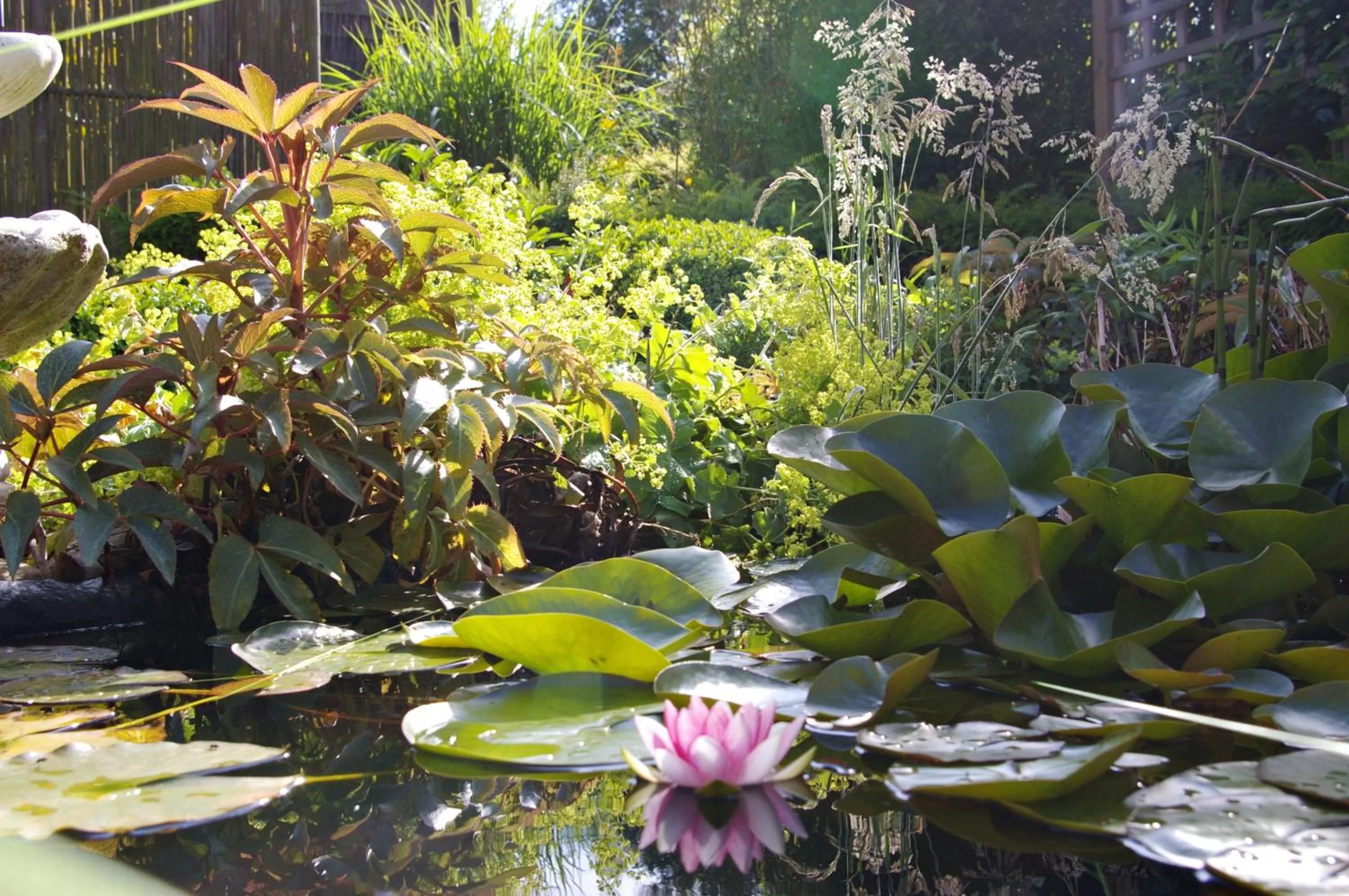 Garden in Villa Monique