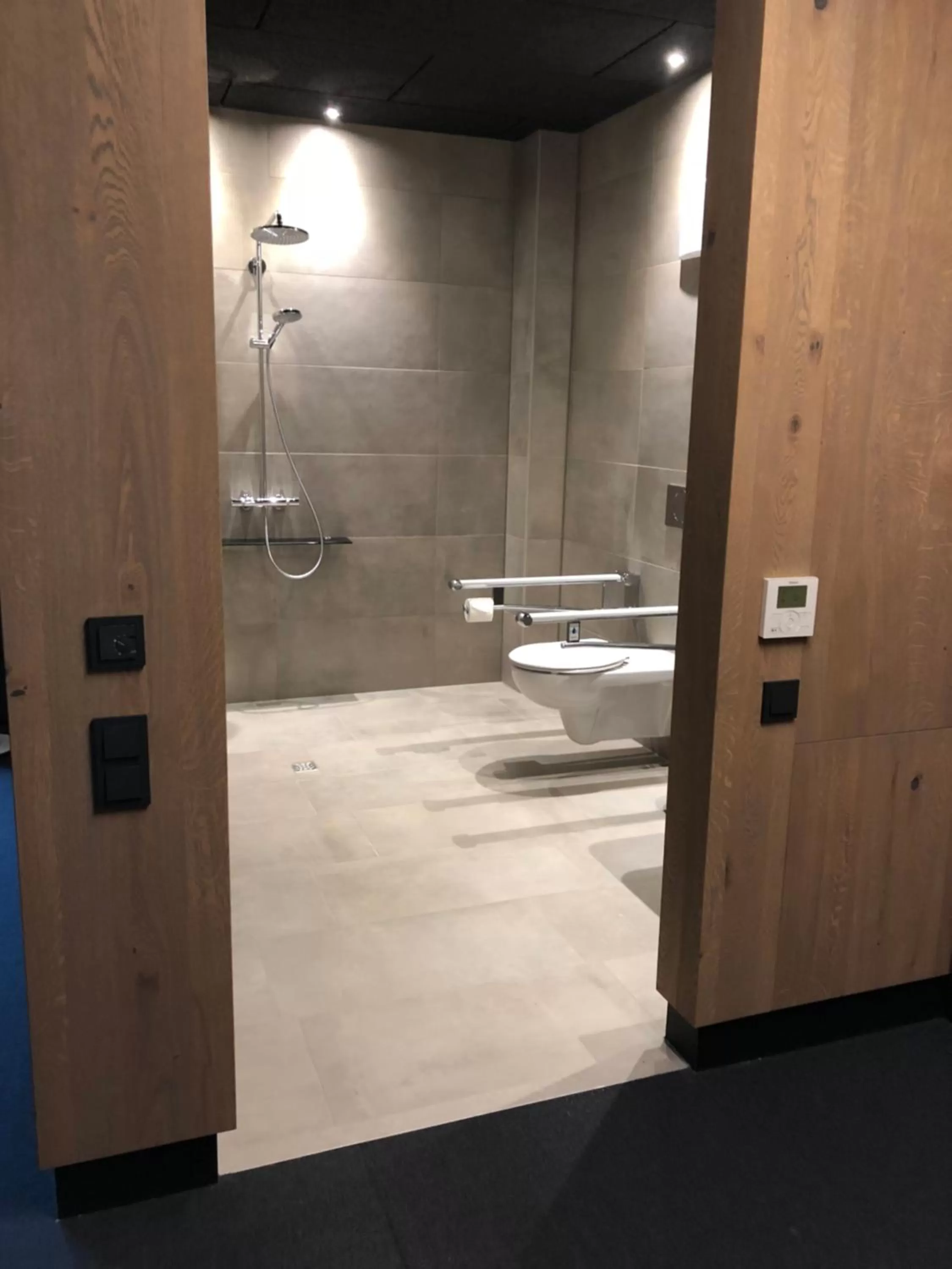 Bathroom in bäck stage