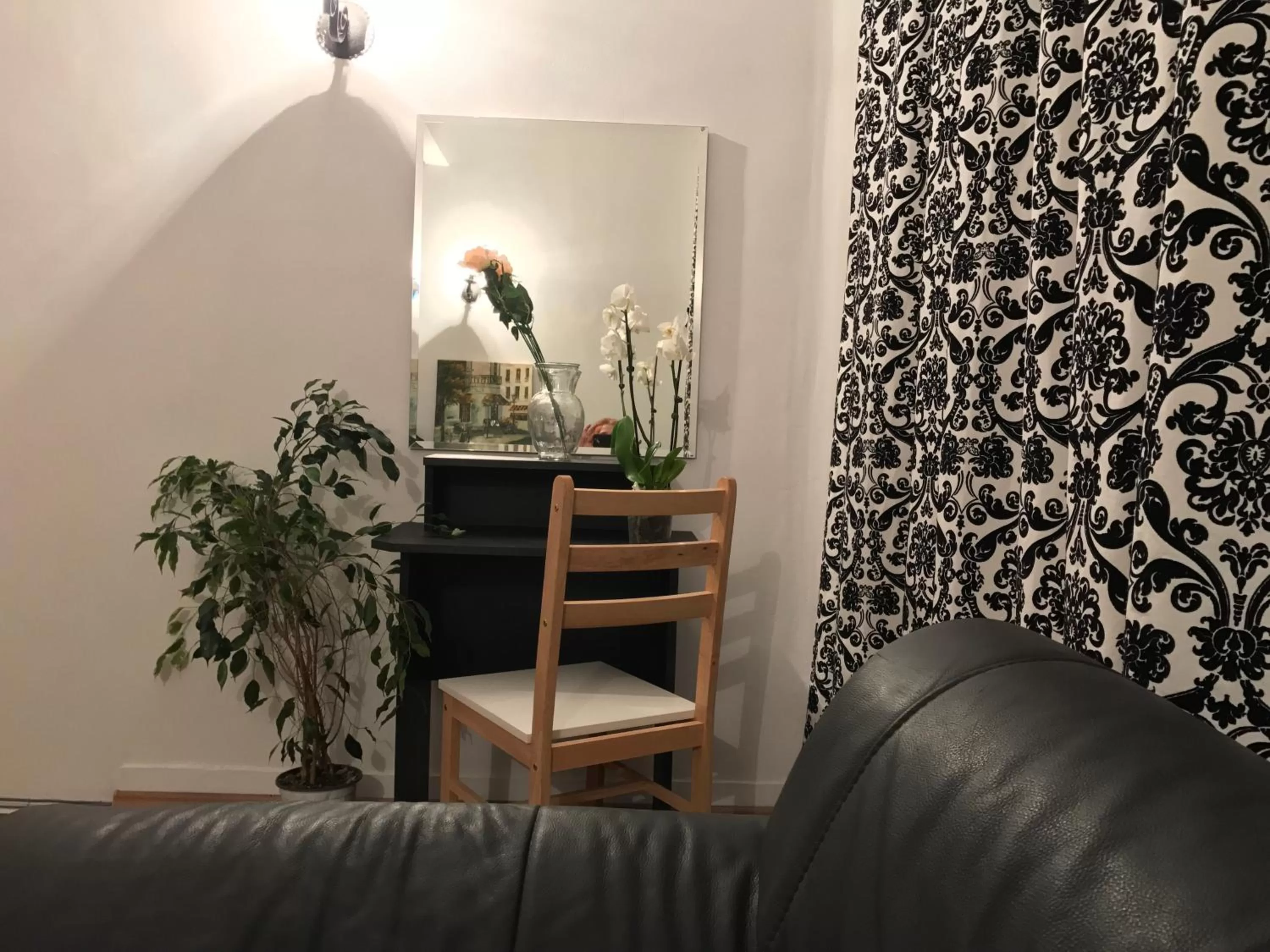 Photo of the whole room in Belle Stelle Sofia