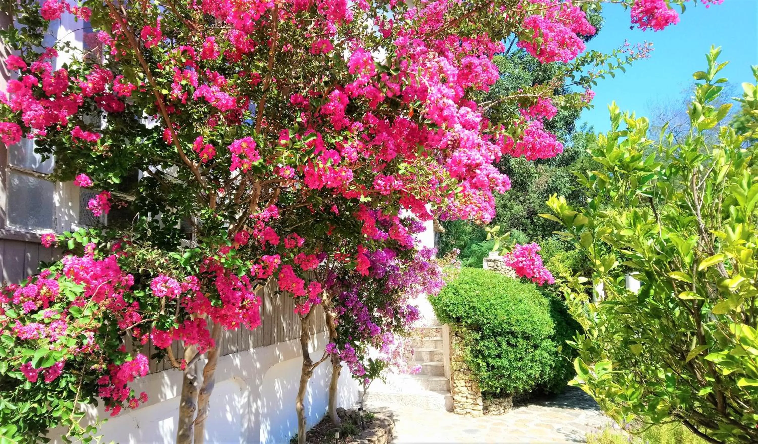 Garden in Les Jardins de Bormes, hôtel adult only avec sauna & jacuzzi