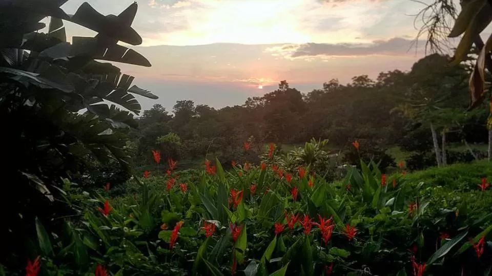 Spring, Natural Landscape in Hale Hualalai