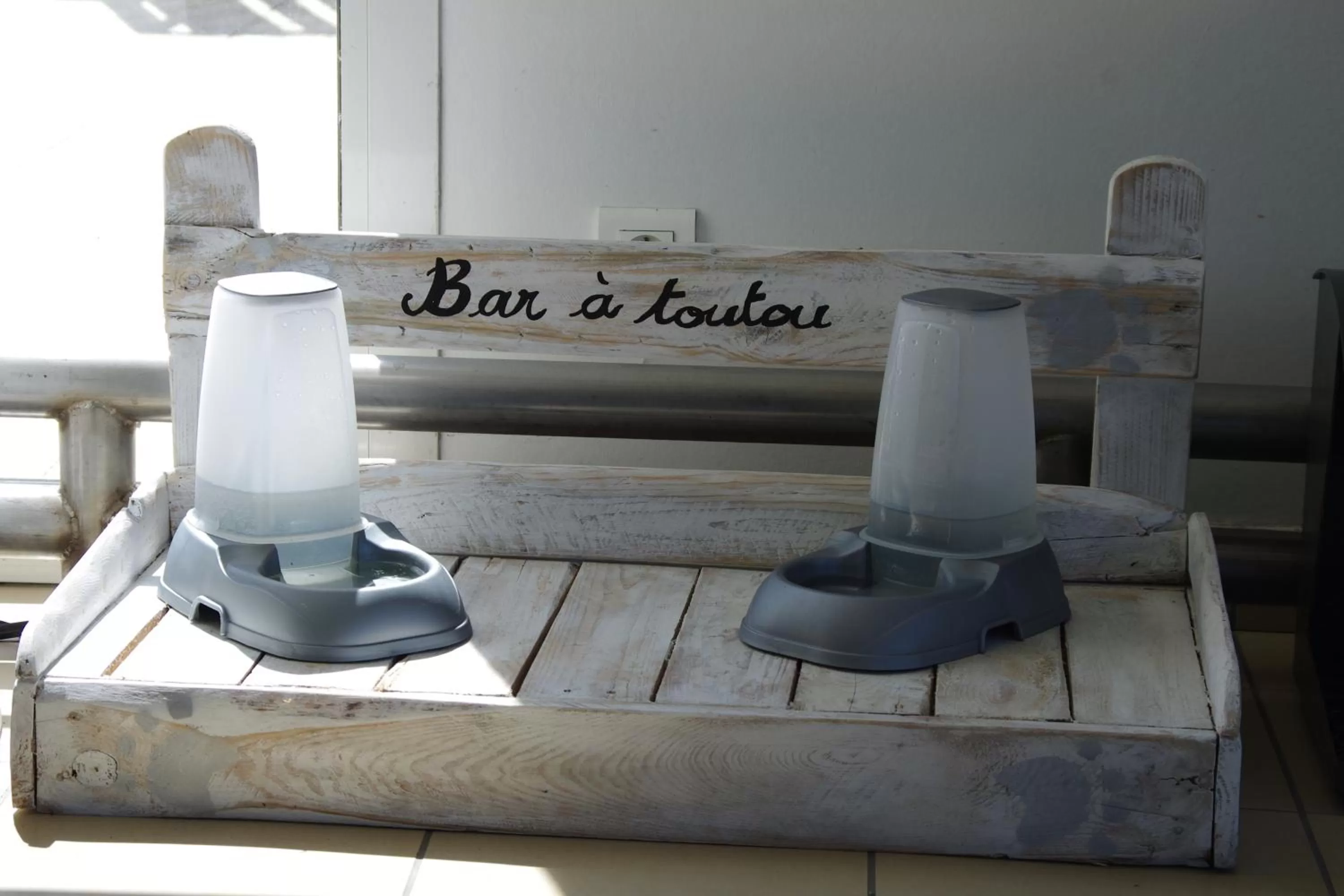 Pets in ibis Styles Deauville Villers Plage