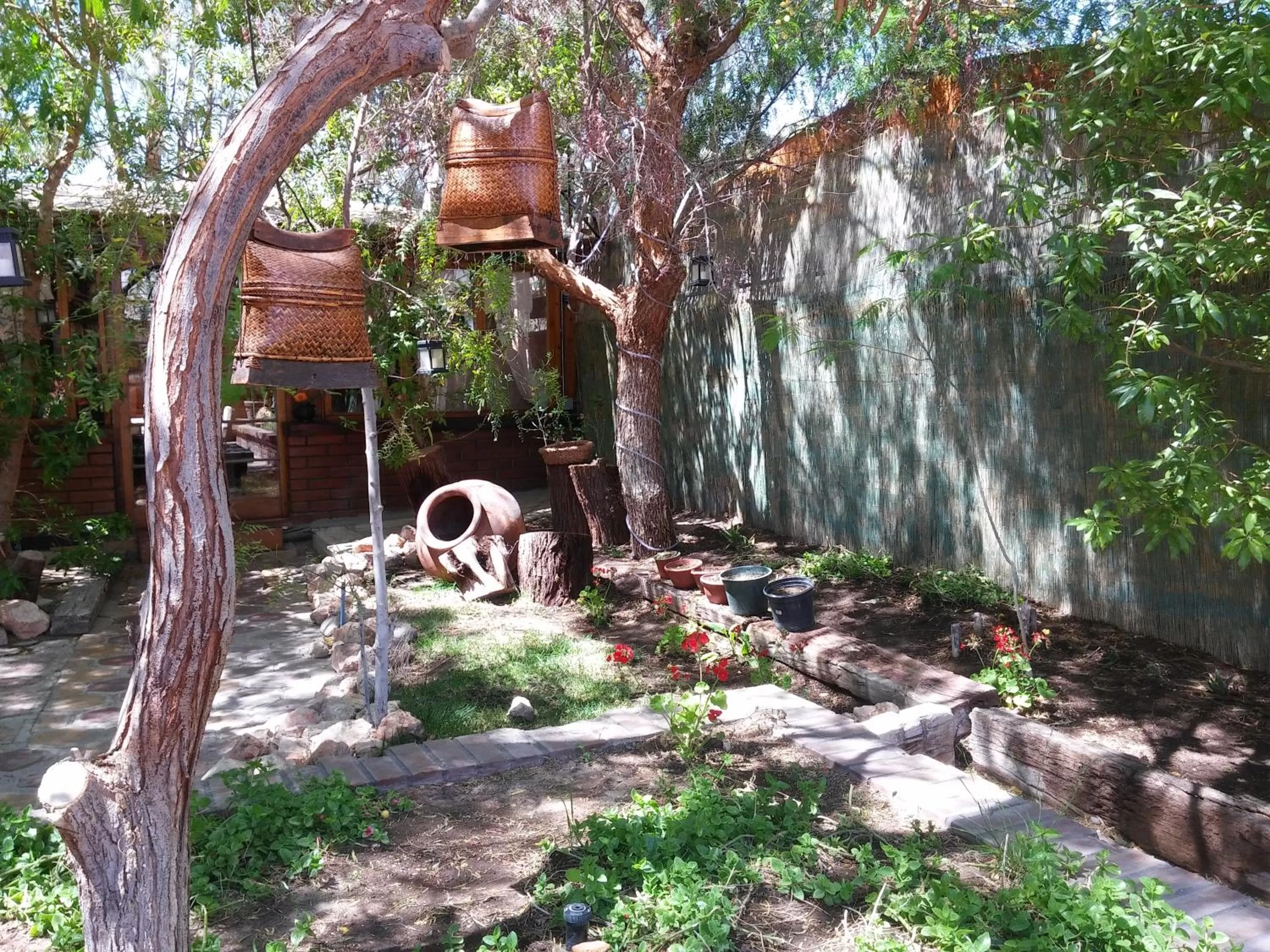 Garden in Atankalama