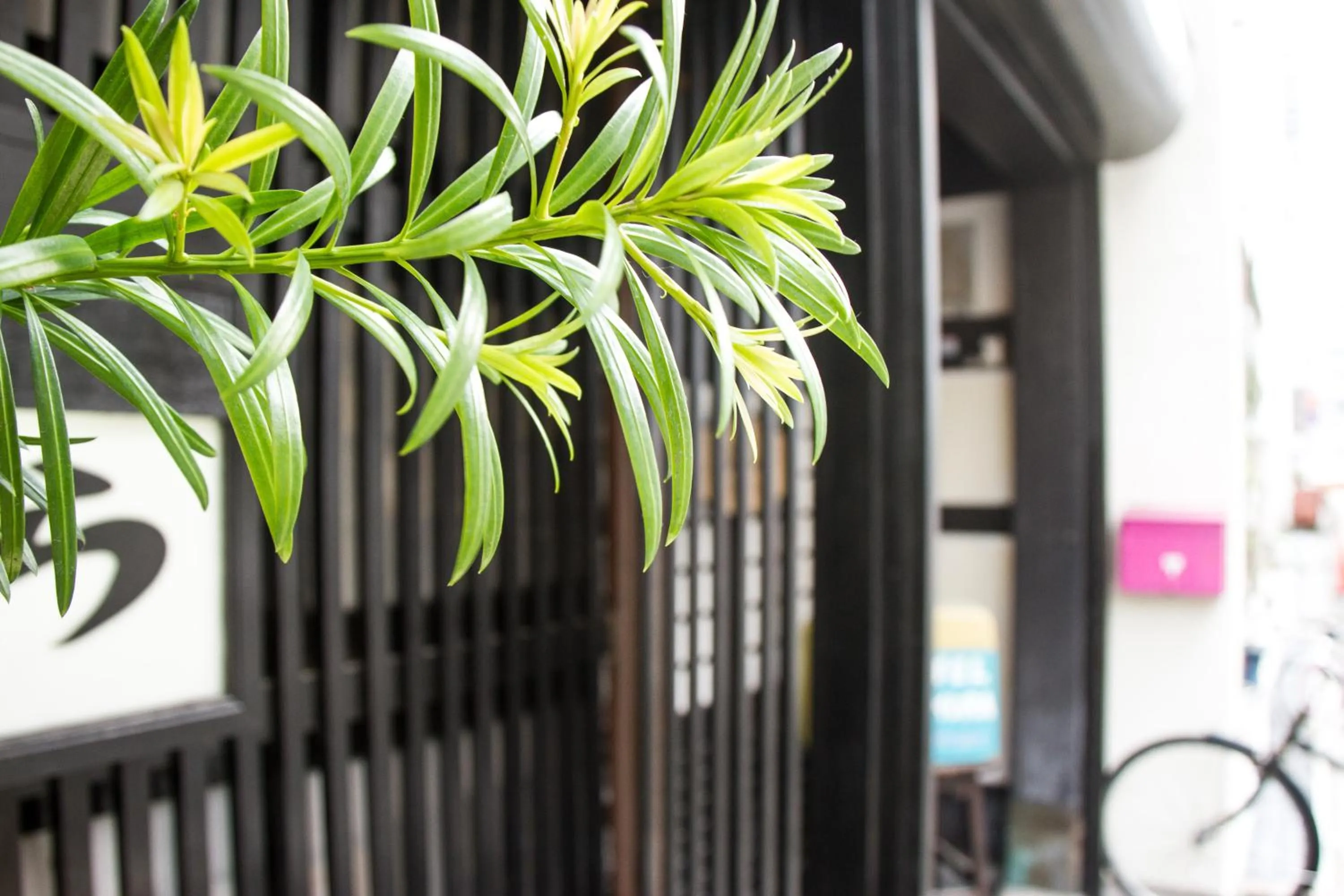 Hostel Nakamura Kobe