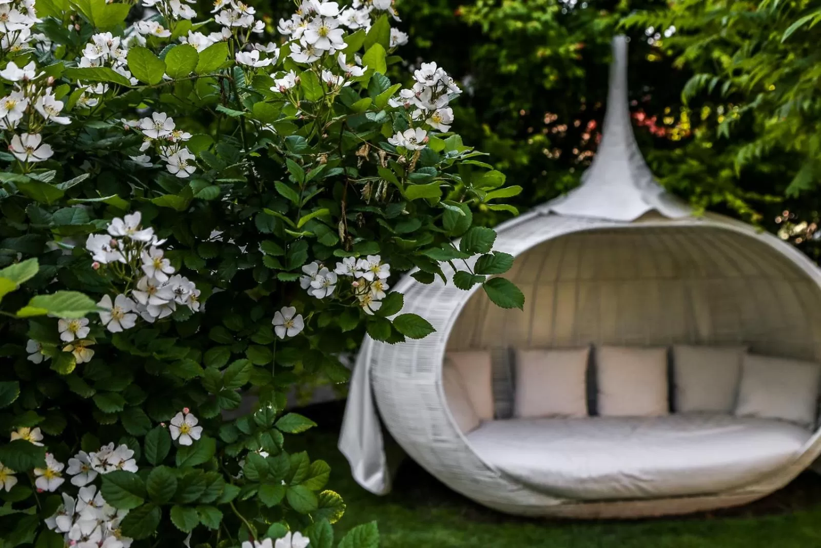 Garden in Hotel Villa Groff