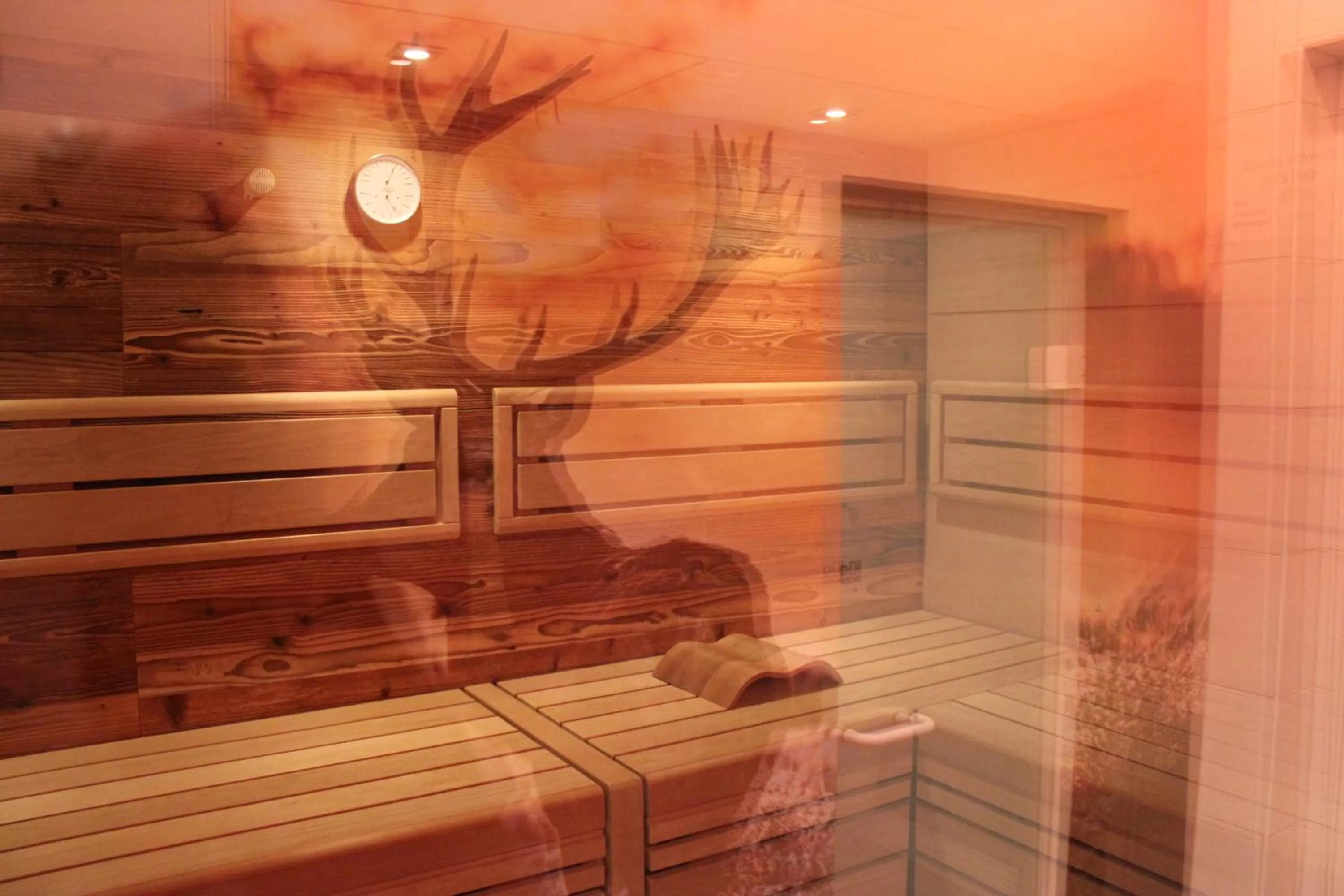 Sauna in Wellness & Ayurveda Hotel Am Eichenberg