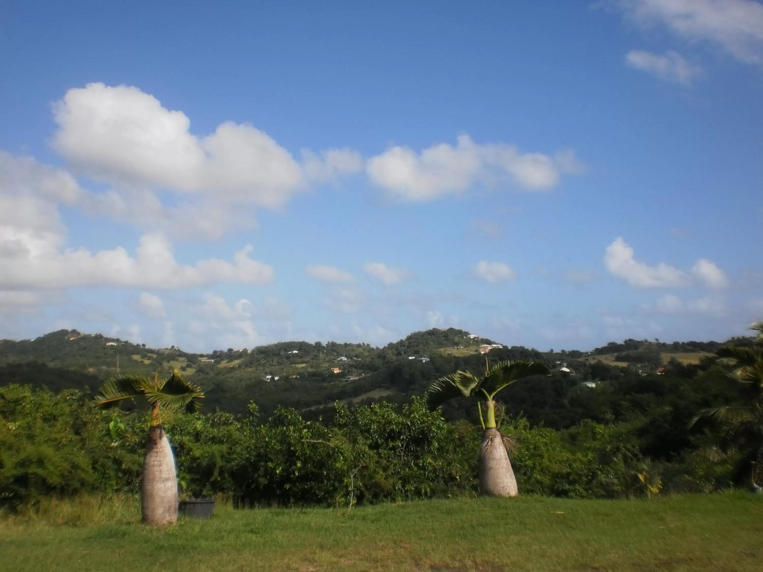 Garden in Bed and breakfast Riviere