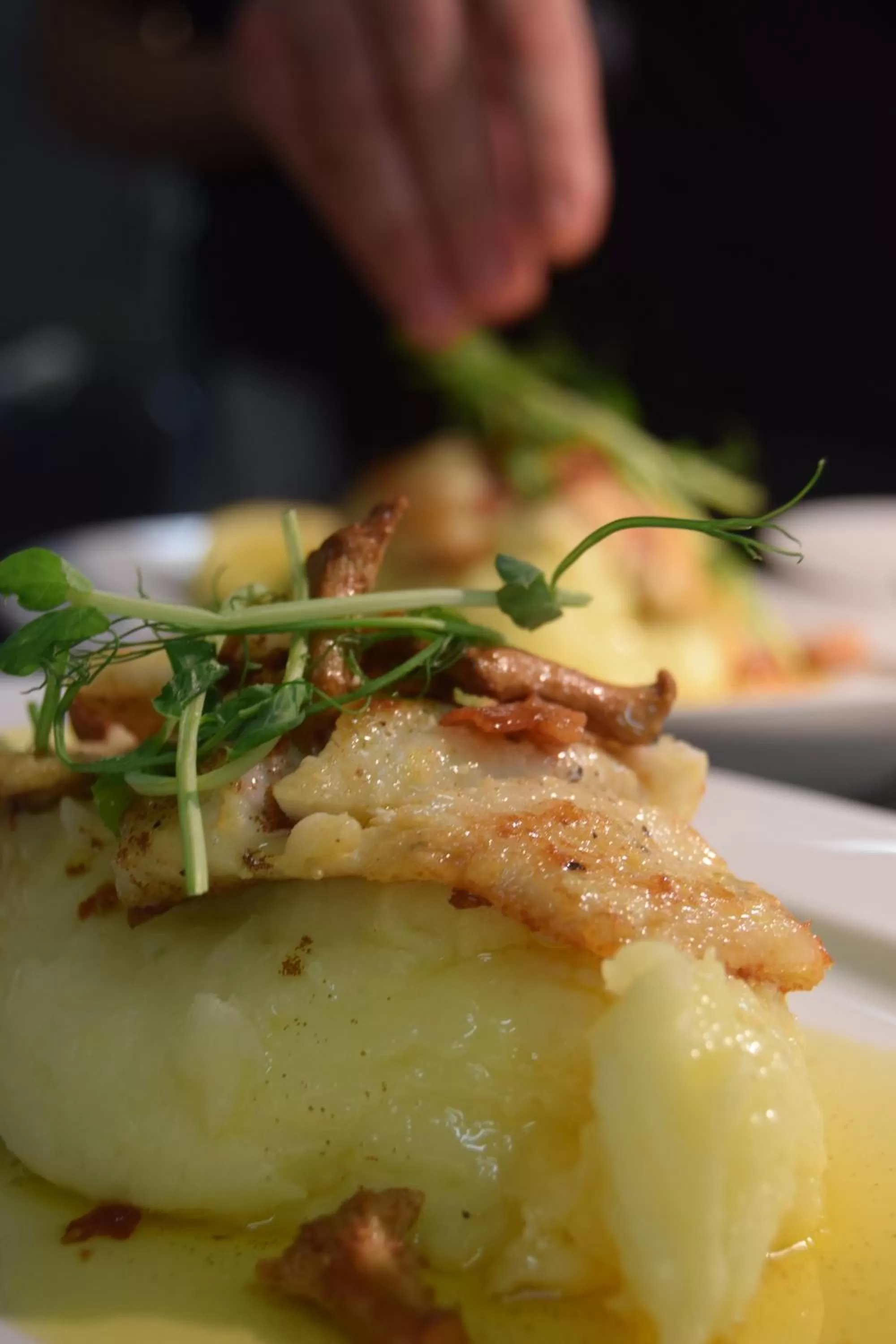 Dinner in Snöå Bruk Hotell och konferens