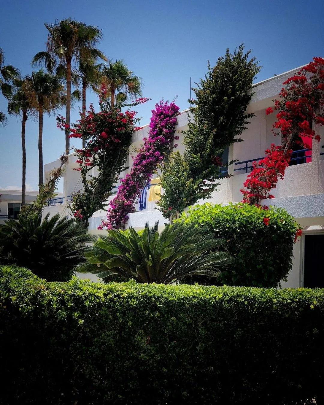 Dome Beach Marina Hotel & Resort